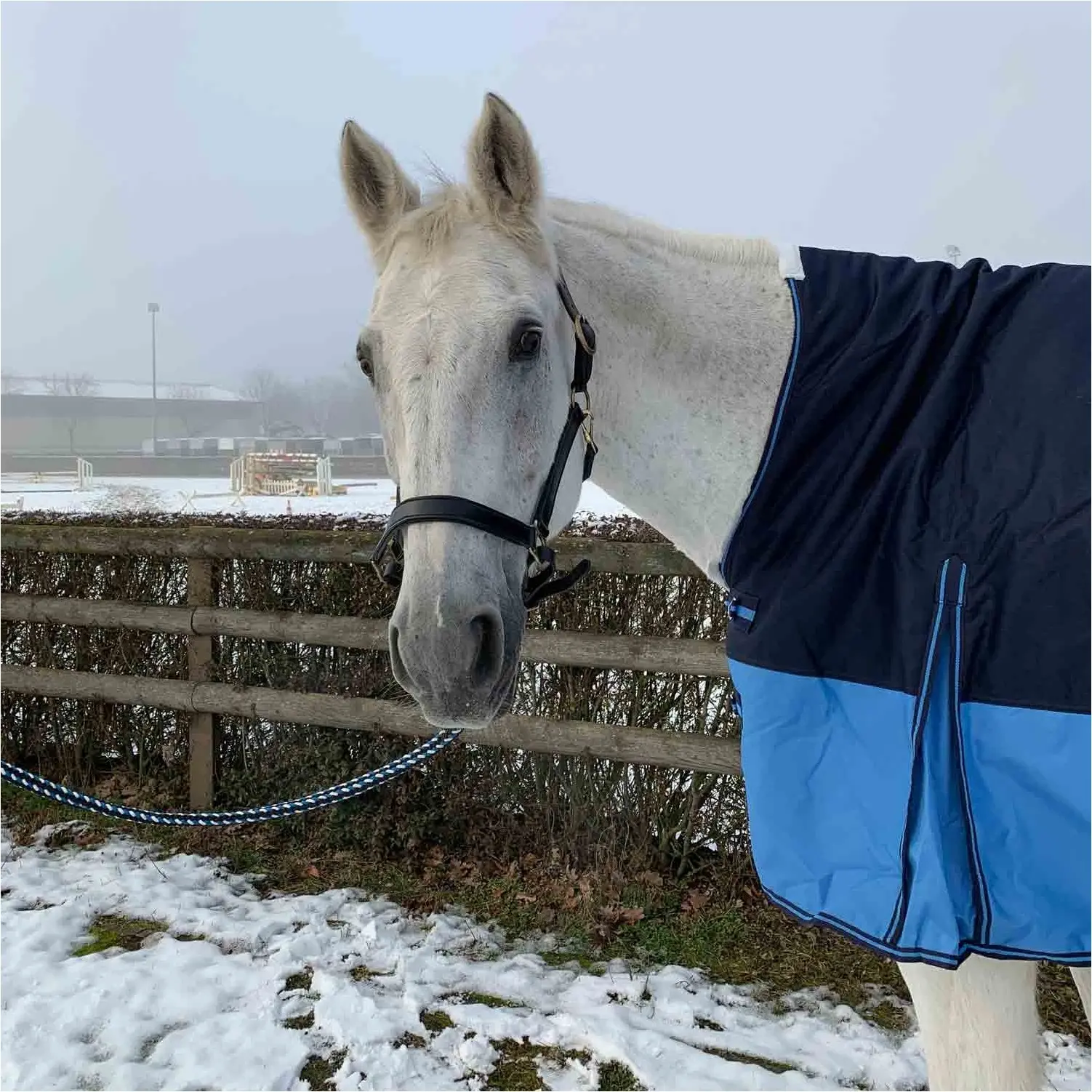 Weidedecke High Neck Polarfleece 600D BASICLINE blau/babyblau - Posten
