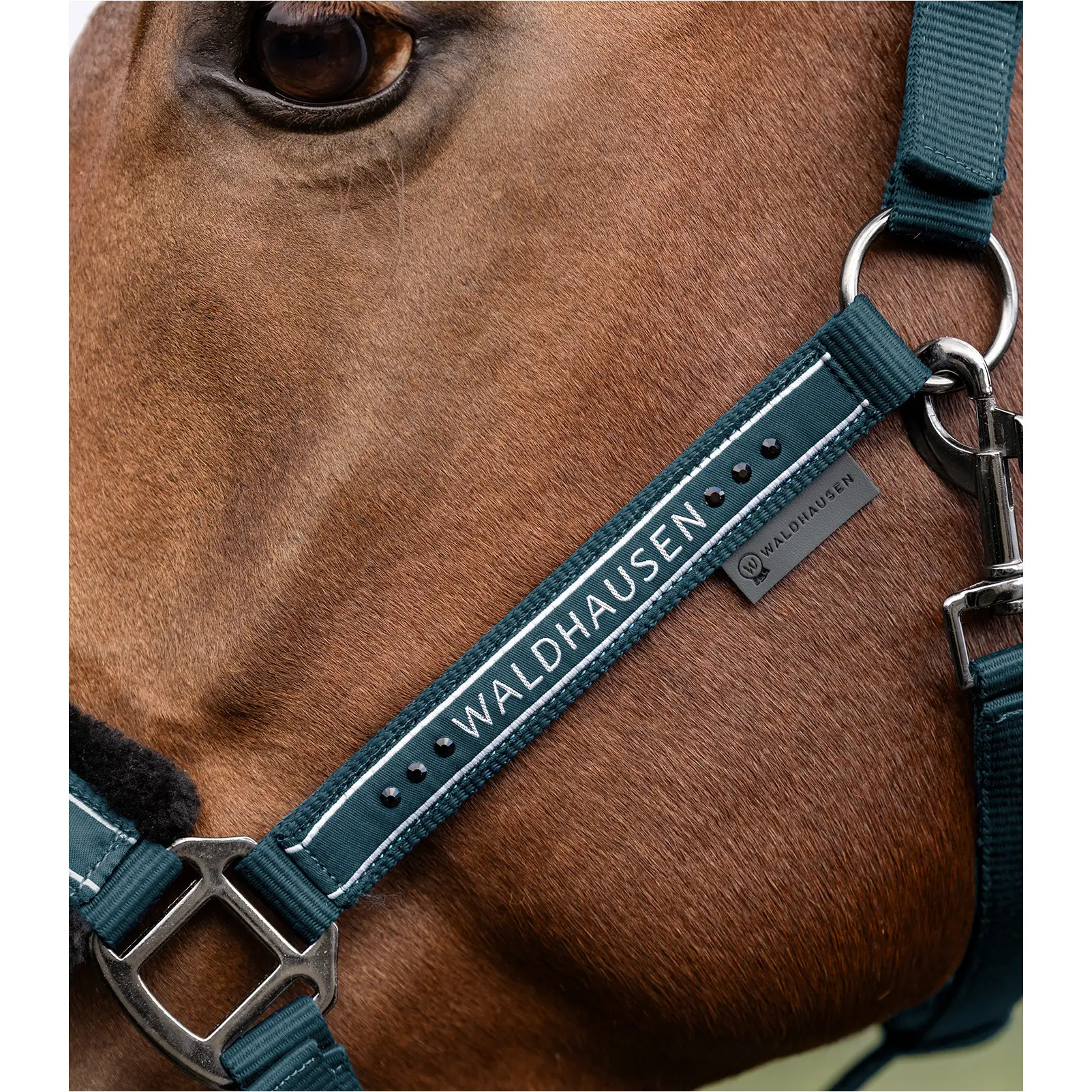 Halfter ELEGANT petrolblau Halfter ELEGANT petrolblau