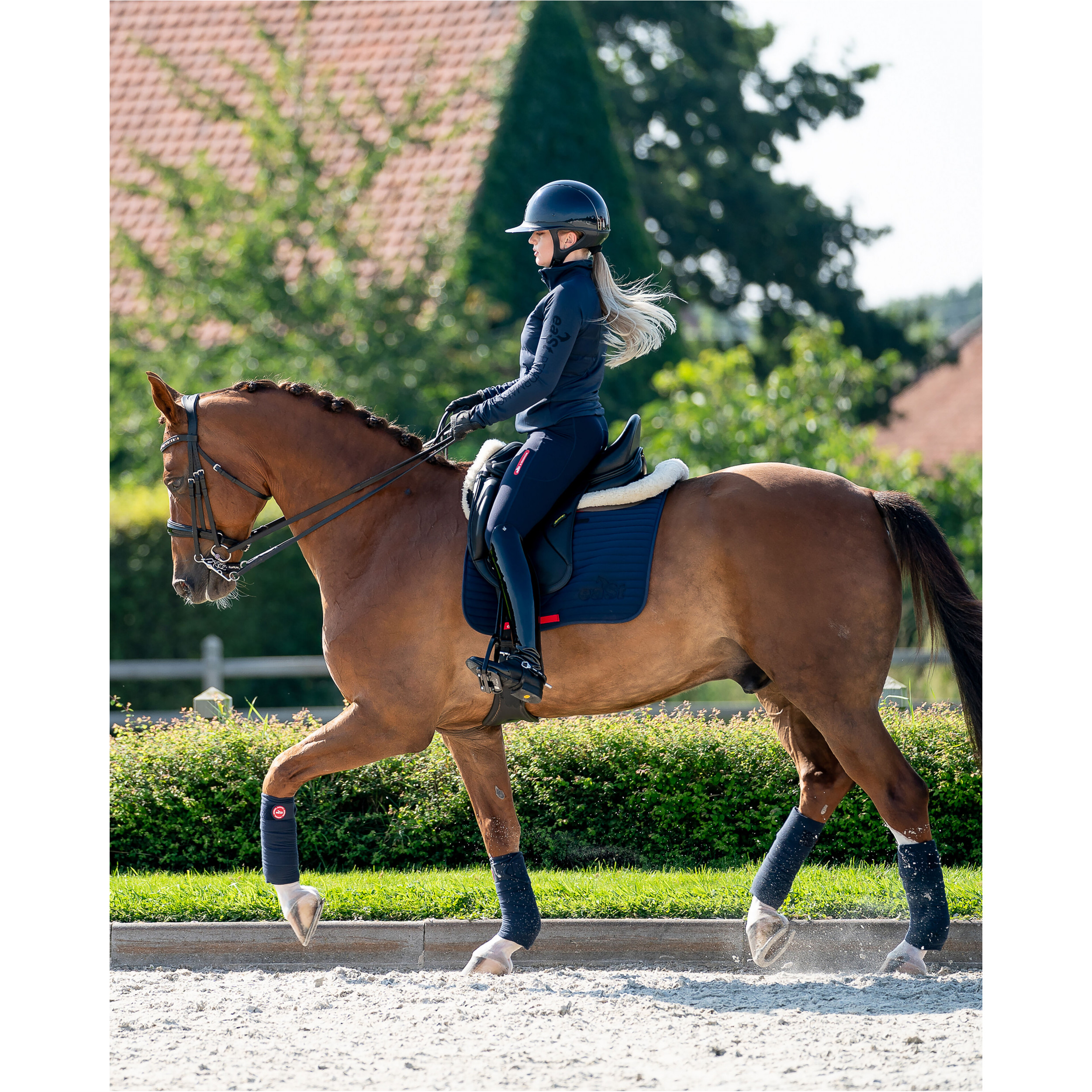 Damen Reitjacke HYBRID JERSEY midnight blue