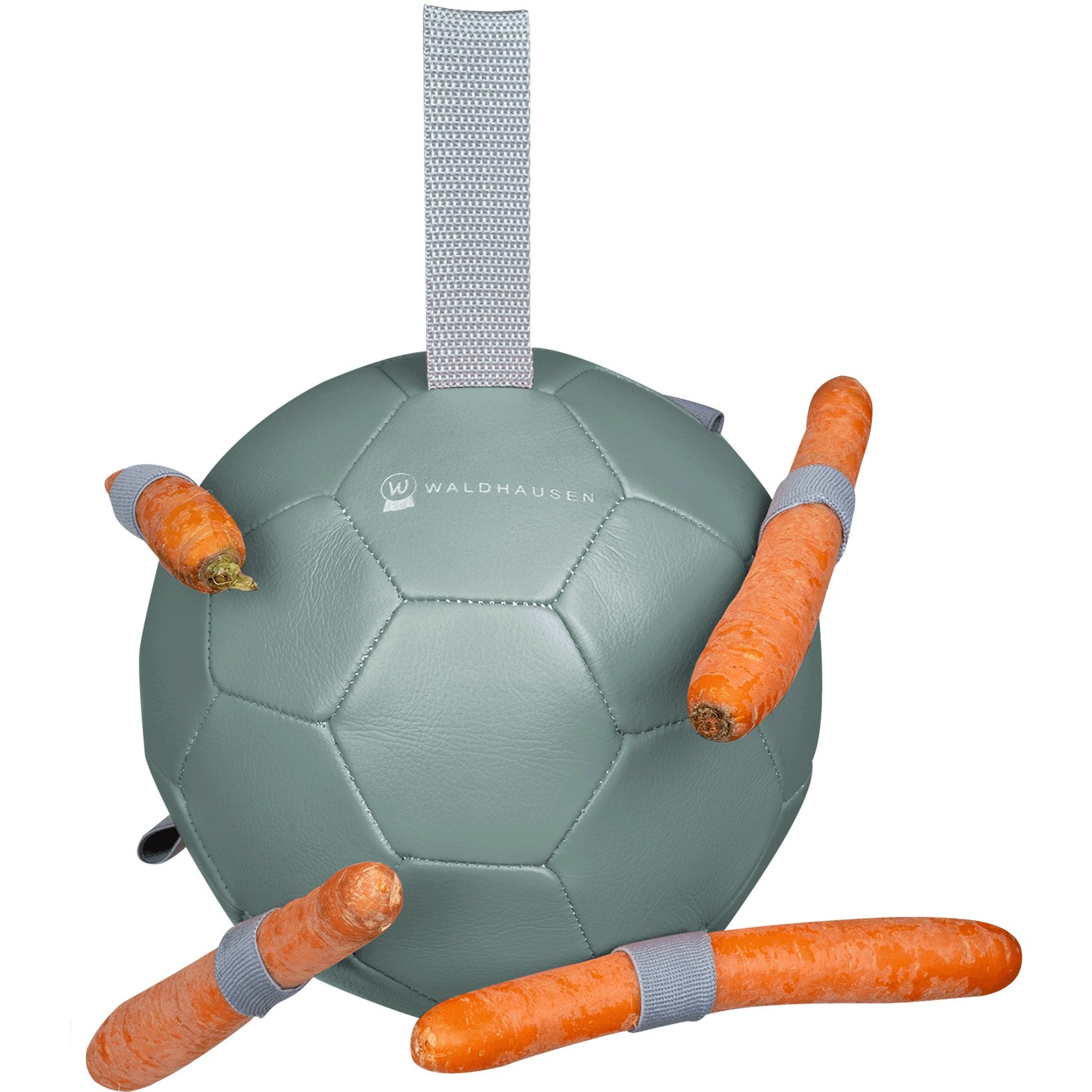 mistel