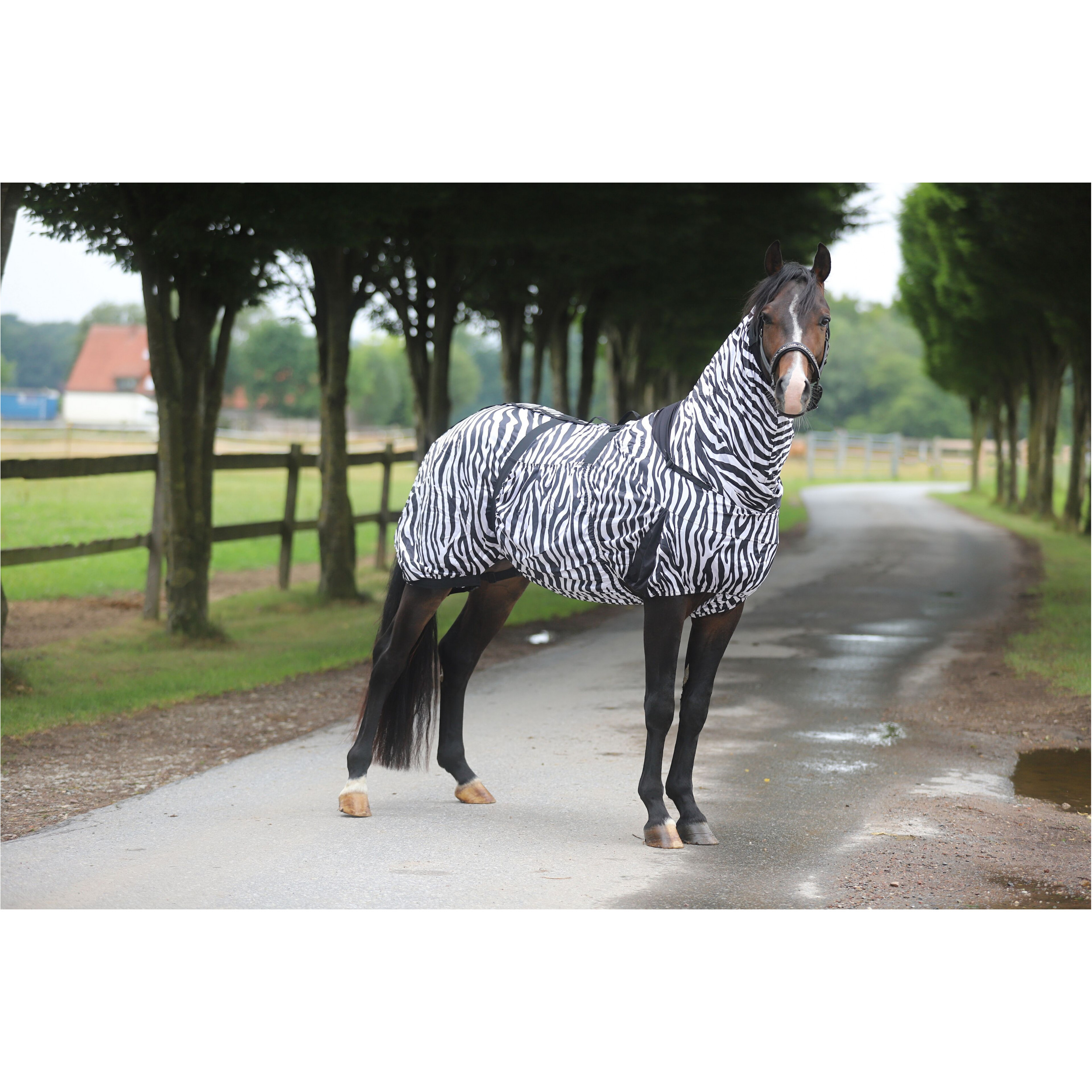 Ekzemerdecke ZEBRA schwarz/weiß