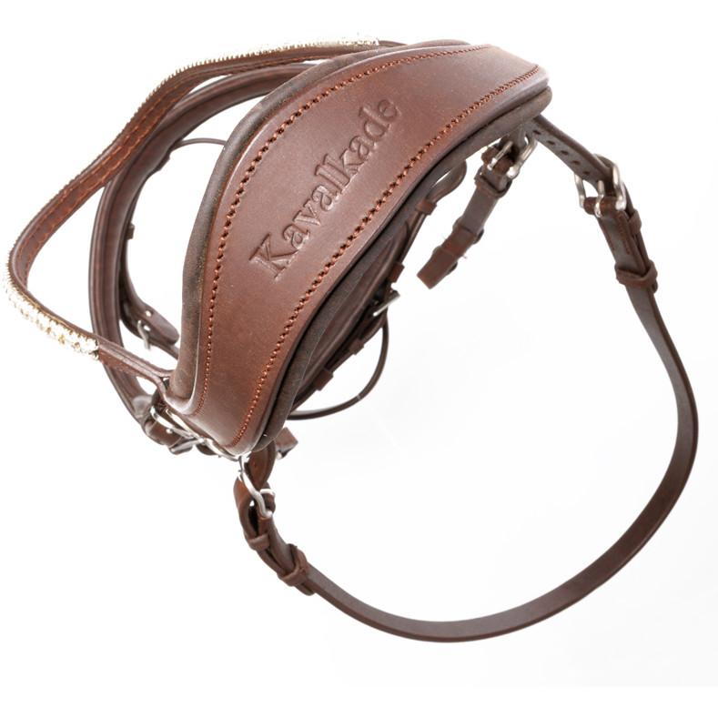 Trensenzaum mit schwedischen Reithalfter EVERLYN Leder geölt braun