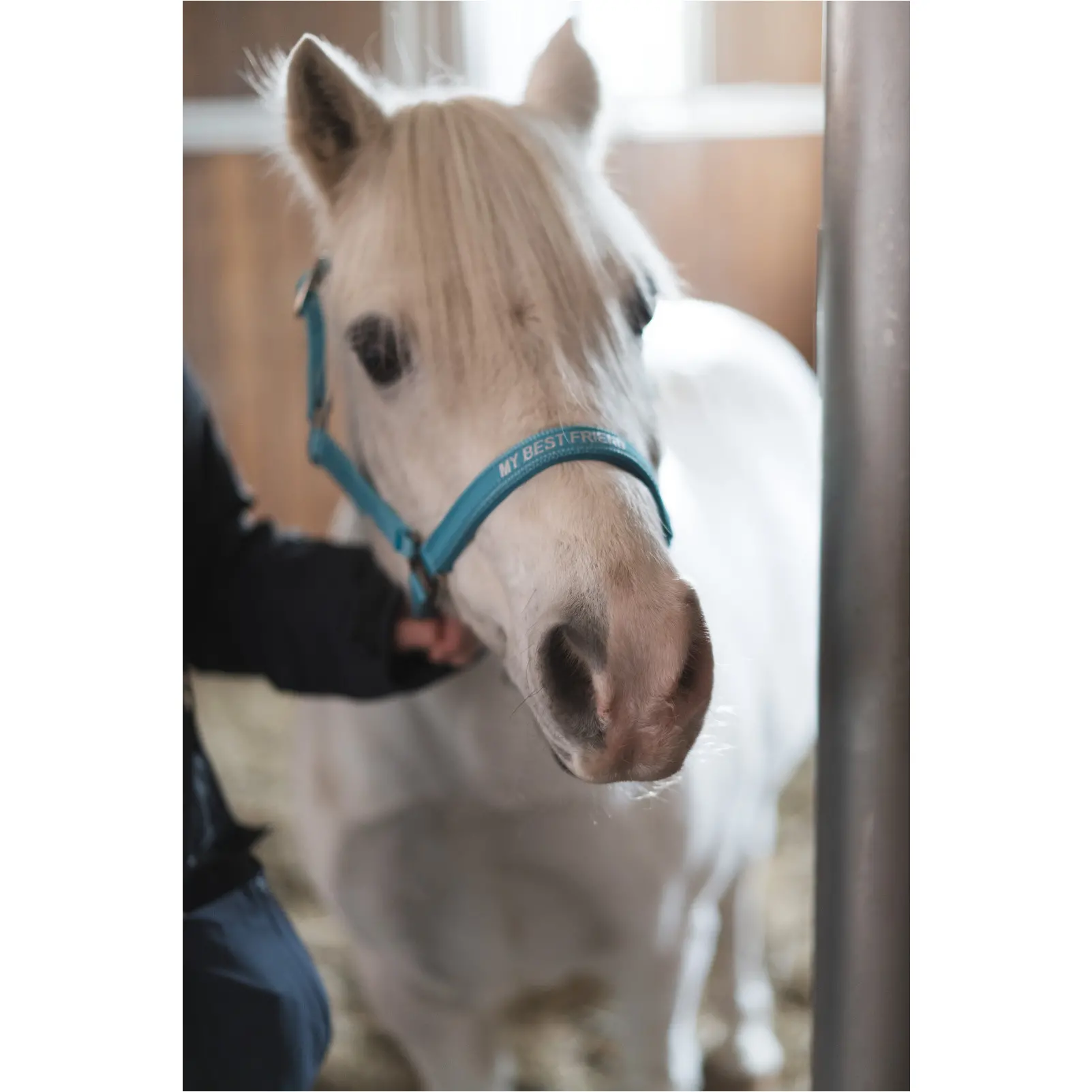 Halfter MALVA aruba blue Halfter MALVA aruba blue