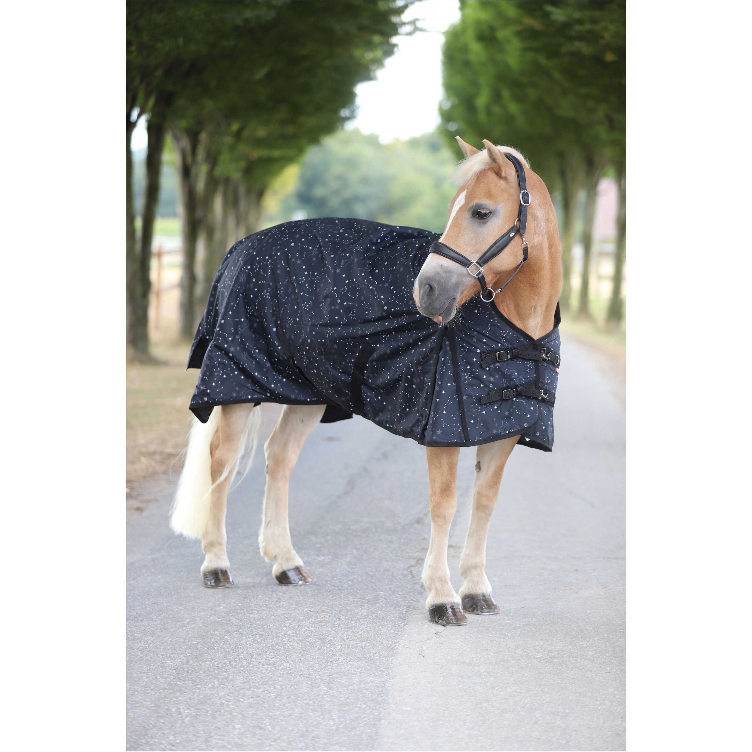 Outdoordecke 600D IRHSuper-dry STARDUST black