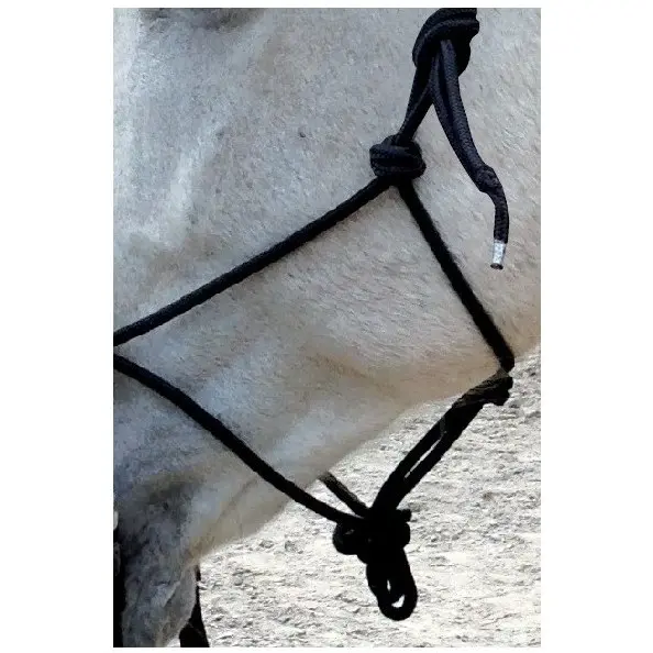 Ethnologisches Halfter mit Zügel schwarz Ethnologisches Halfter mit Zügel schwarz