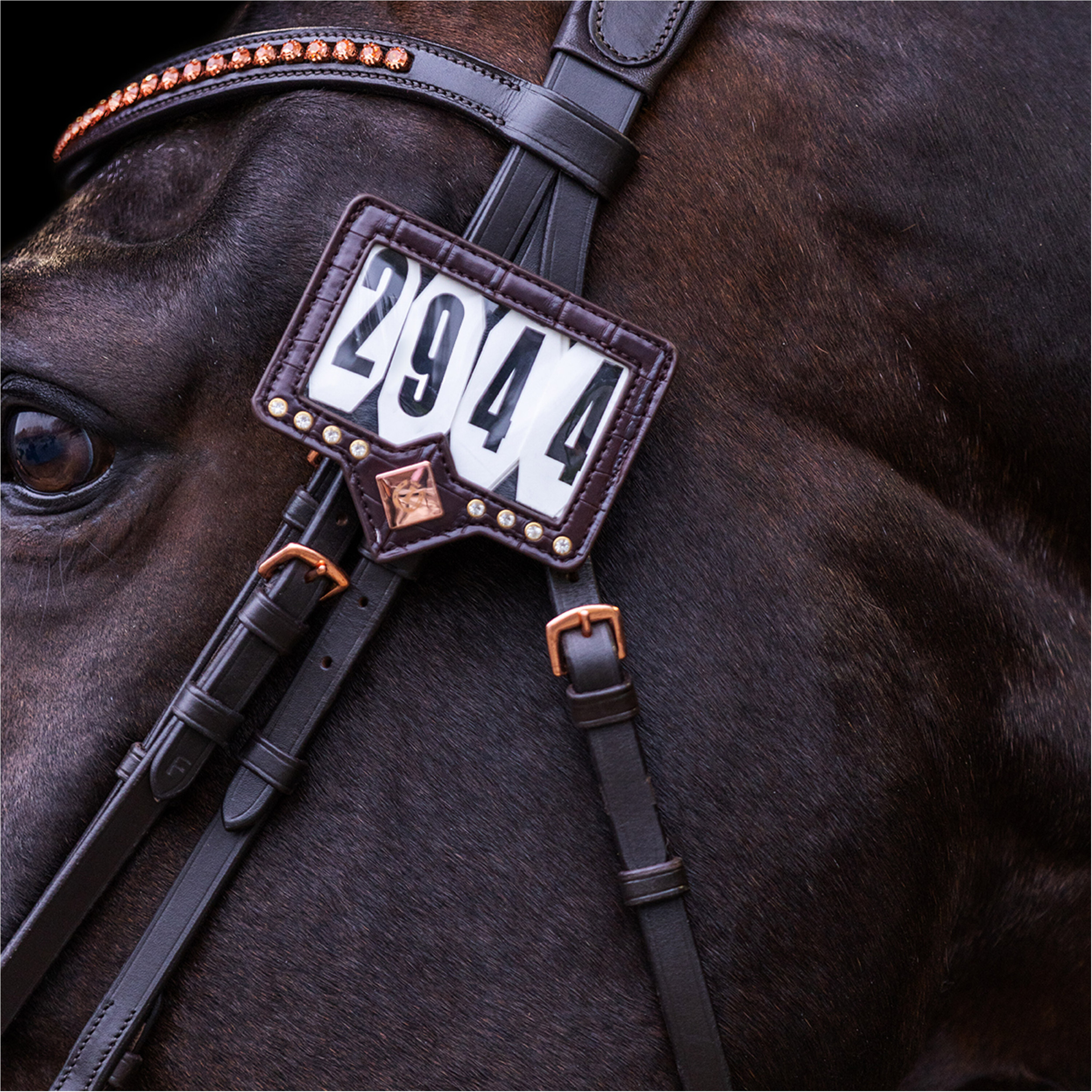 Turniernummern IRHShow and Glow braun/braun croco Turniernummern IRHShow and Glow braun/braun croco