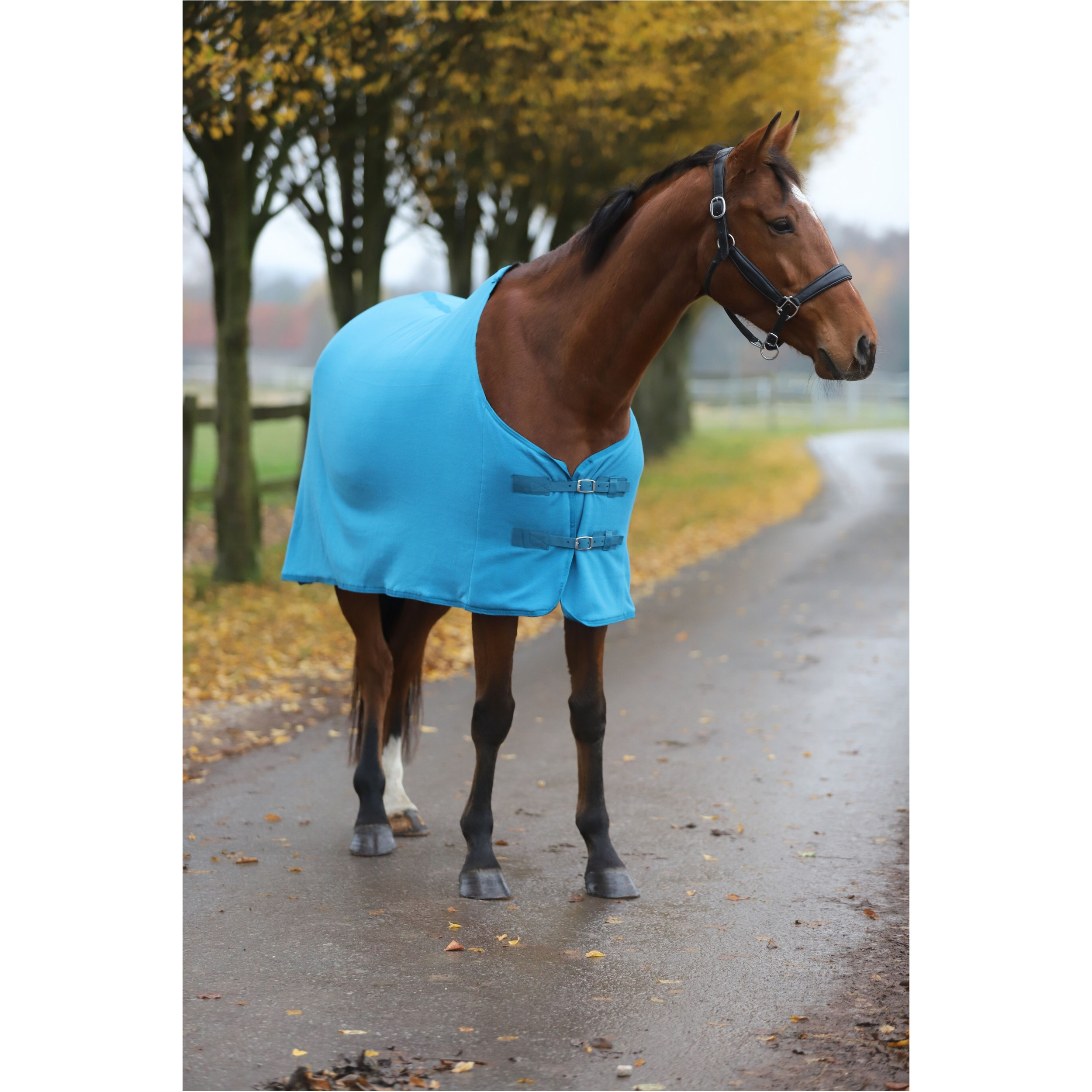 Abschwitzdecke BASICLINE petrol Abschwitzdecke BASICLINE petrol