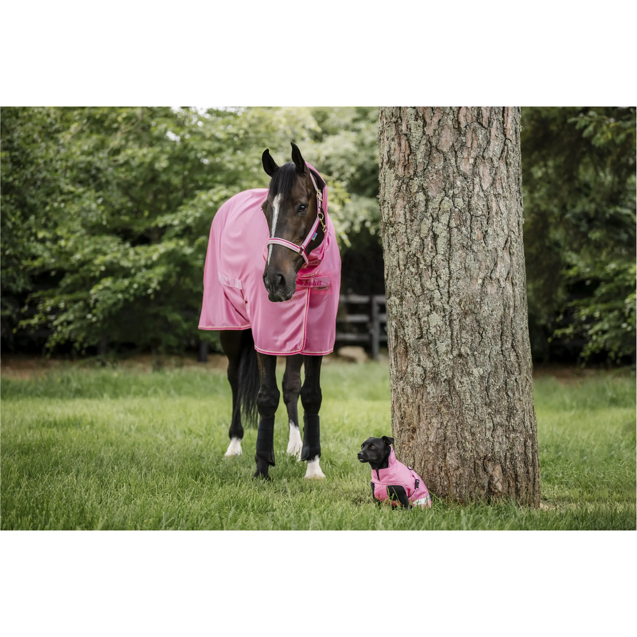 Fliegendecke FREEDOM aurora pink