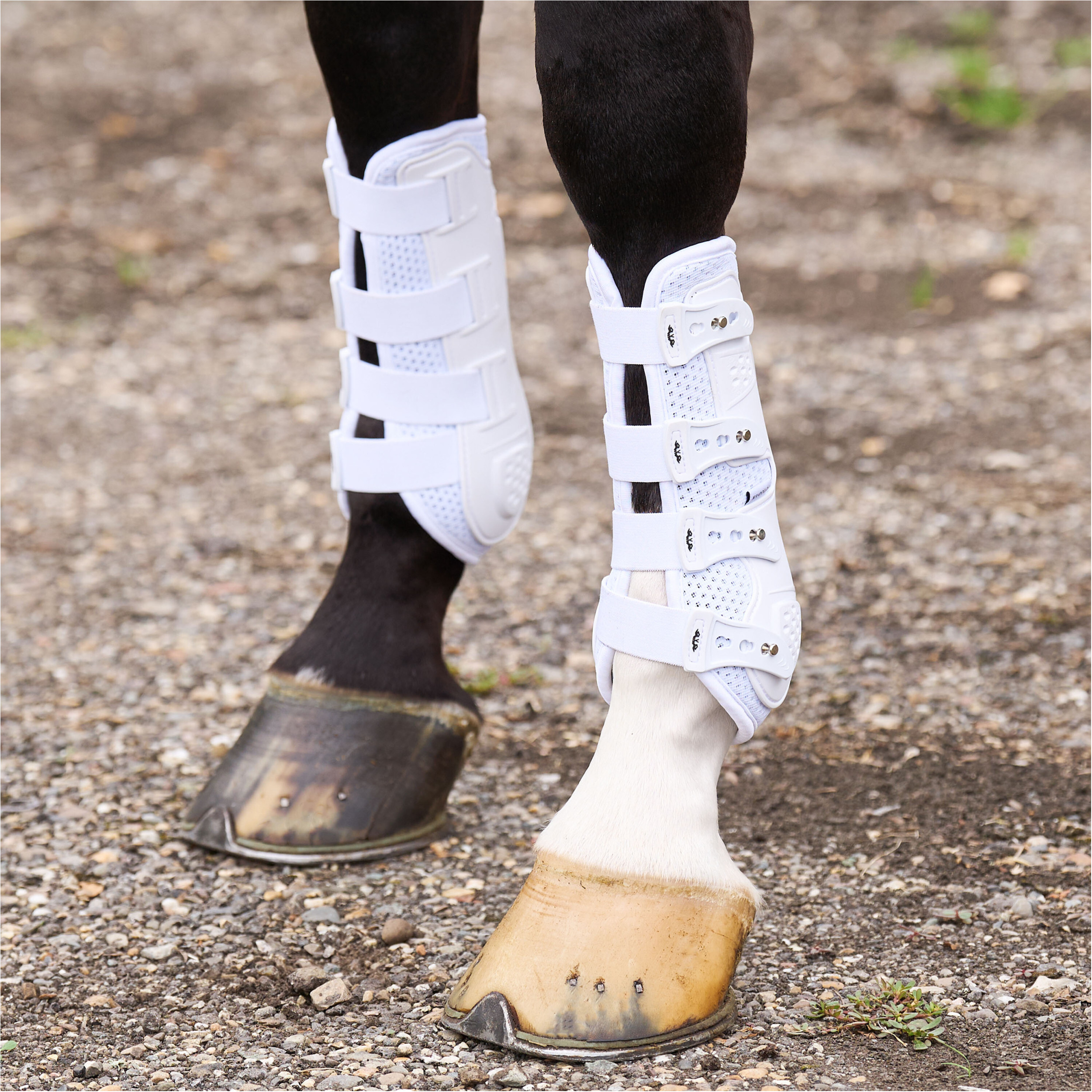 Dressurgamaschen HVPPro Movement weiß