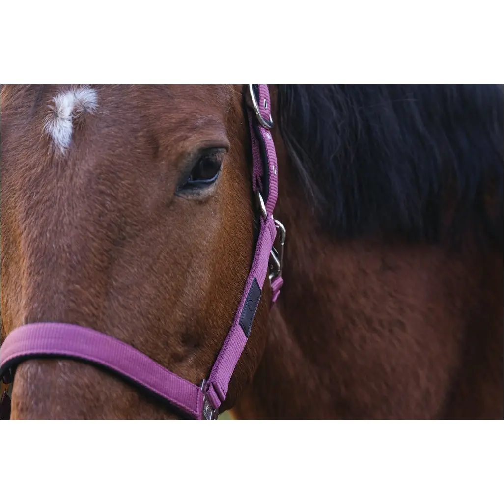 Nylonhalfter SPRING rosa