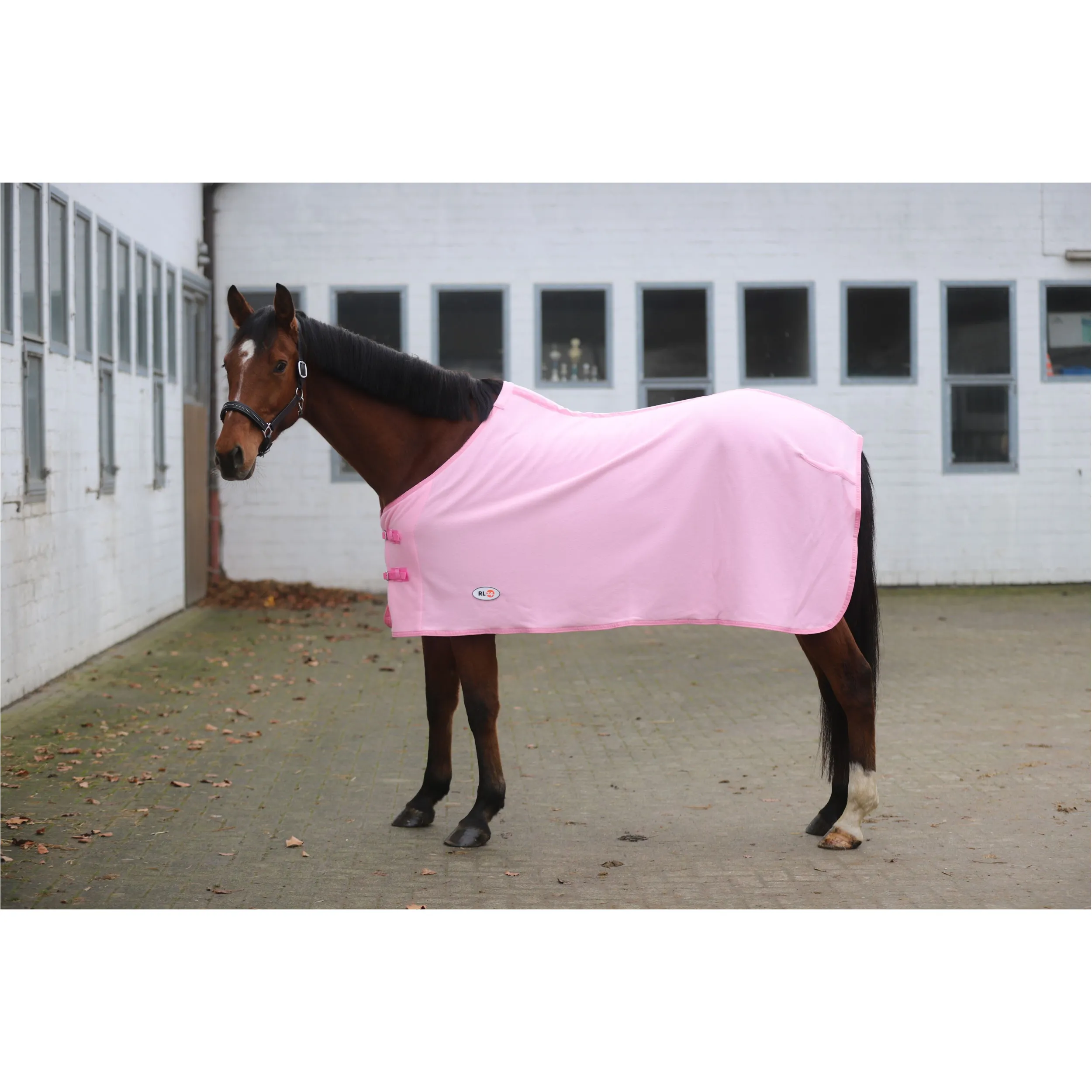 Abschwitzdecke BASICLINE rosa