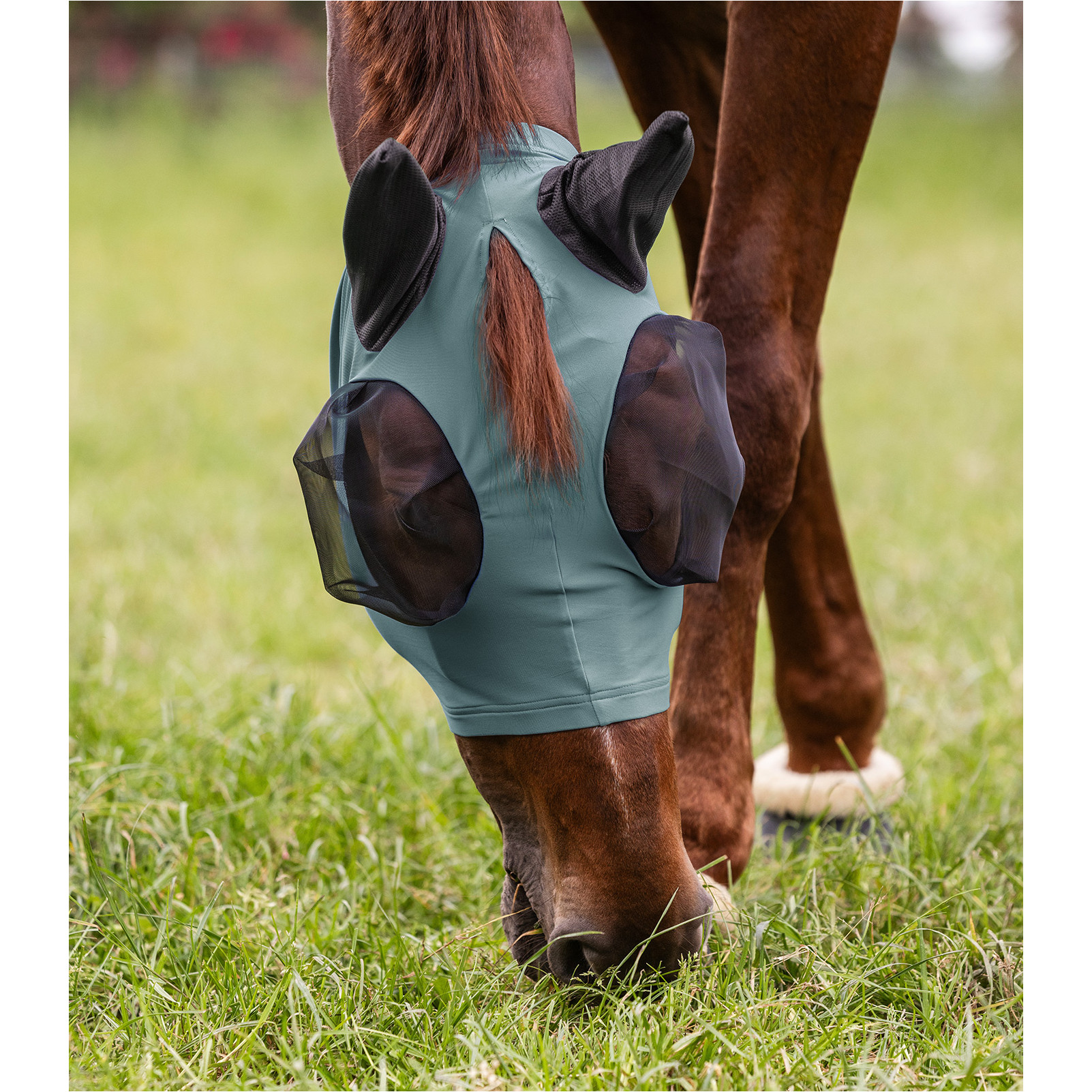 Fliegenmaske mit Reißverschluss PUCK piniengrün Fliegenmaske mit Reißverschluss PUCK piniengrün