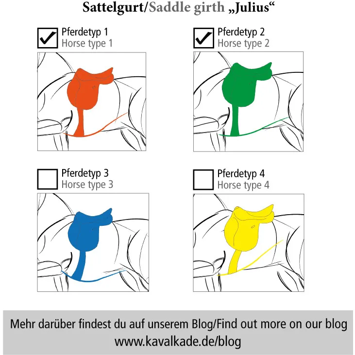 Lederkurzgurt geölt mit Elast JULIUS schwarz