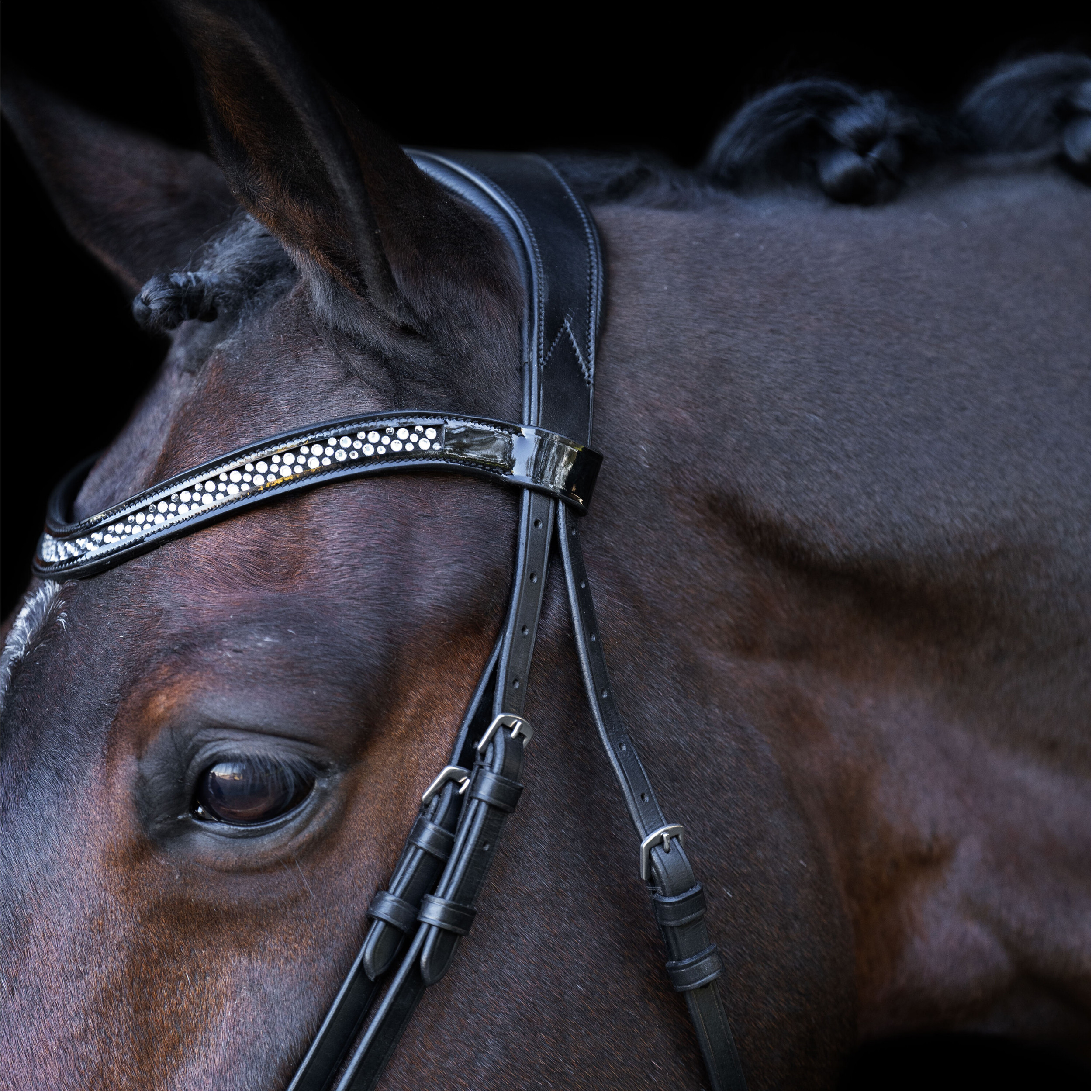 Trensenzaum mit englischem Nasenriemen IRH schwarz-crystal 