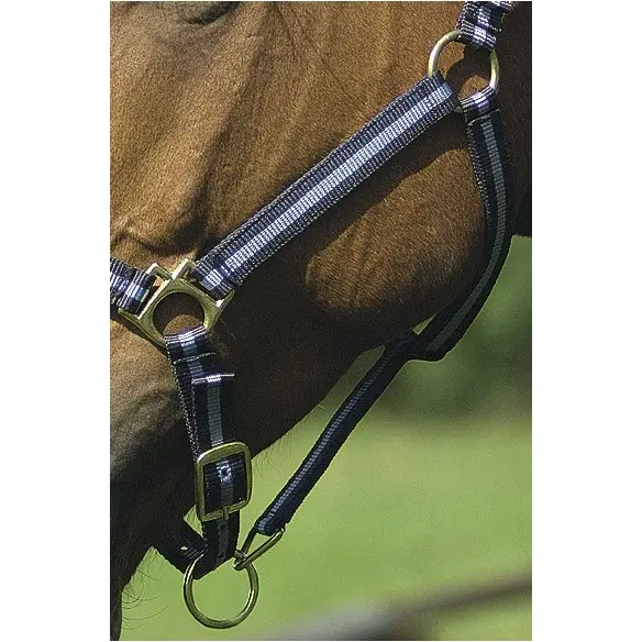 Nylonhalfter mit Büffelspaltleder unterlegt marineblau/hellblau Nylonhalfter mit Büffelspaltleder unterlegt marineblau/hellblau