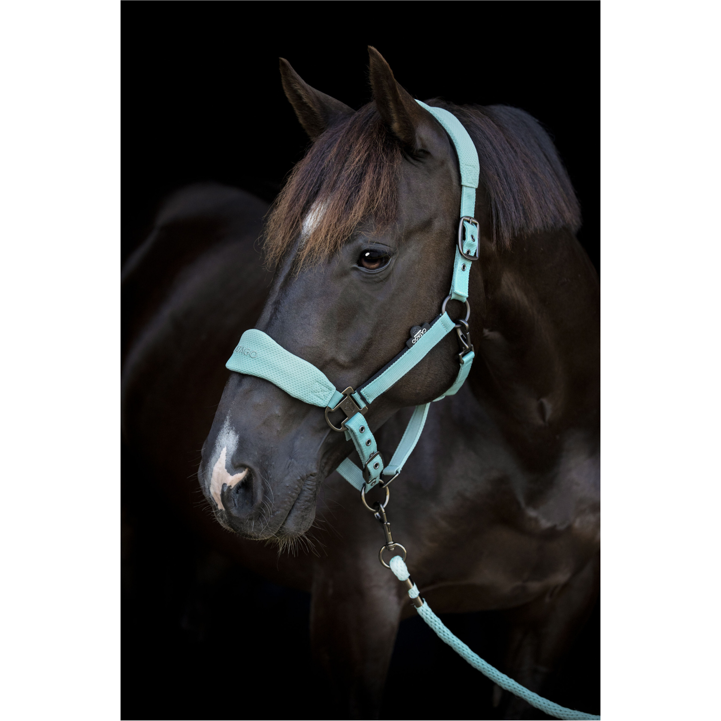 Halfter FIR-Tech blue surf