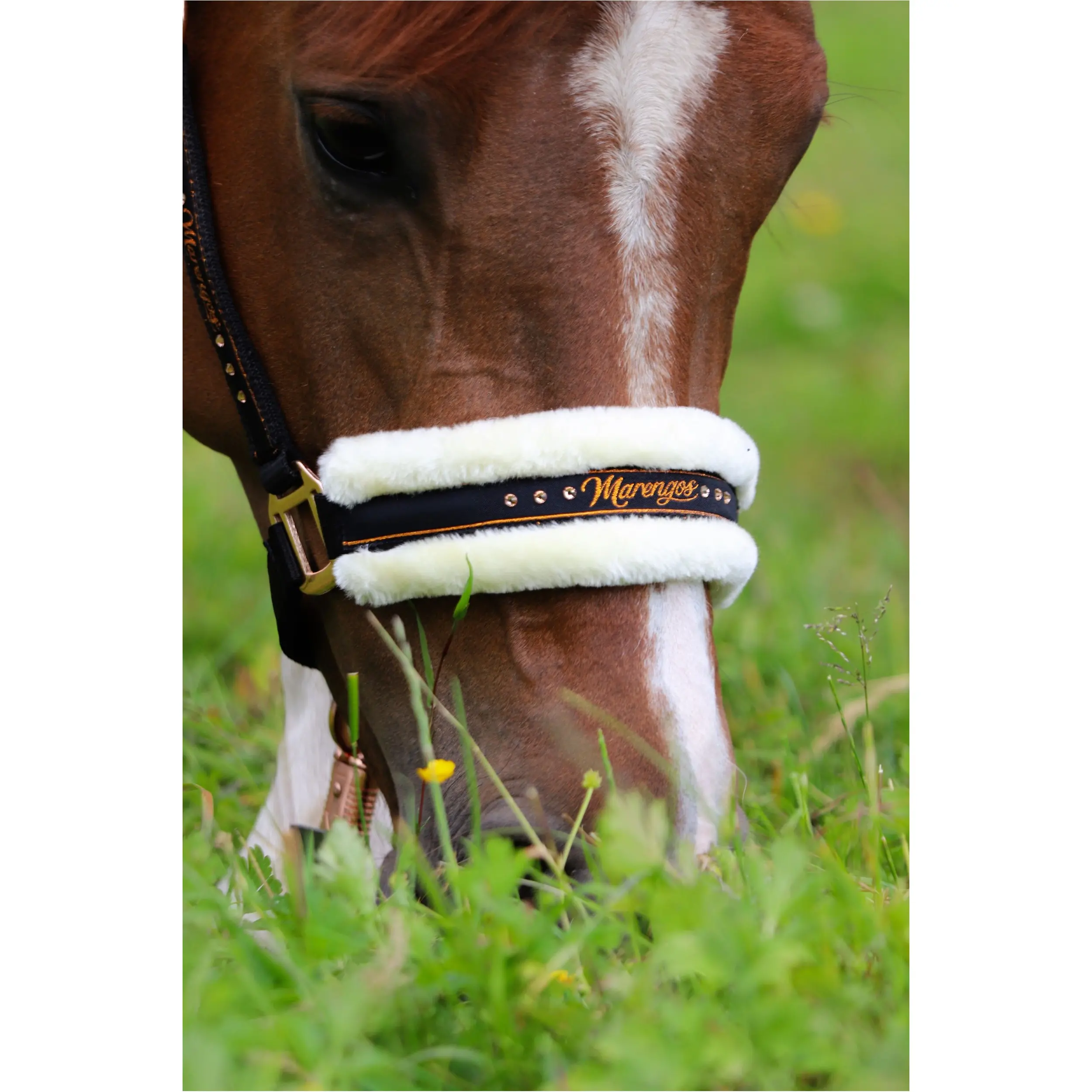 Halfter-Set mit Führstrick ELEGANT schwarz/roségold Halfter-Set mit Führstrick ELEGANT schwarz/roségold