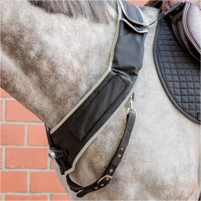 Vorderzeug mit weißer Frontleuchte HORSELIGHT schwarz/grau