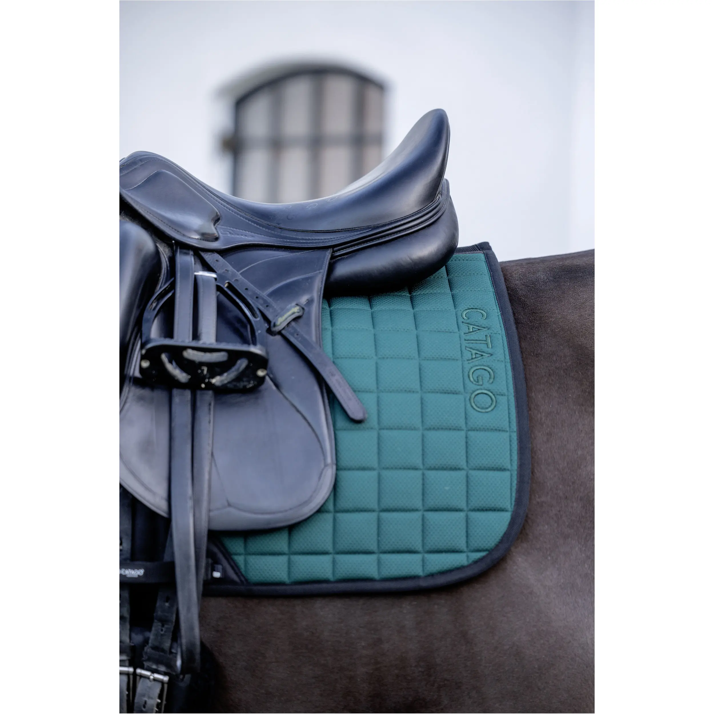 Schabracke FIR-Tech ponderosa pine