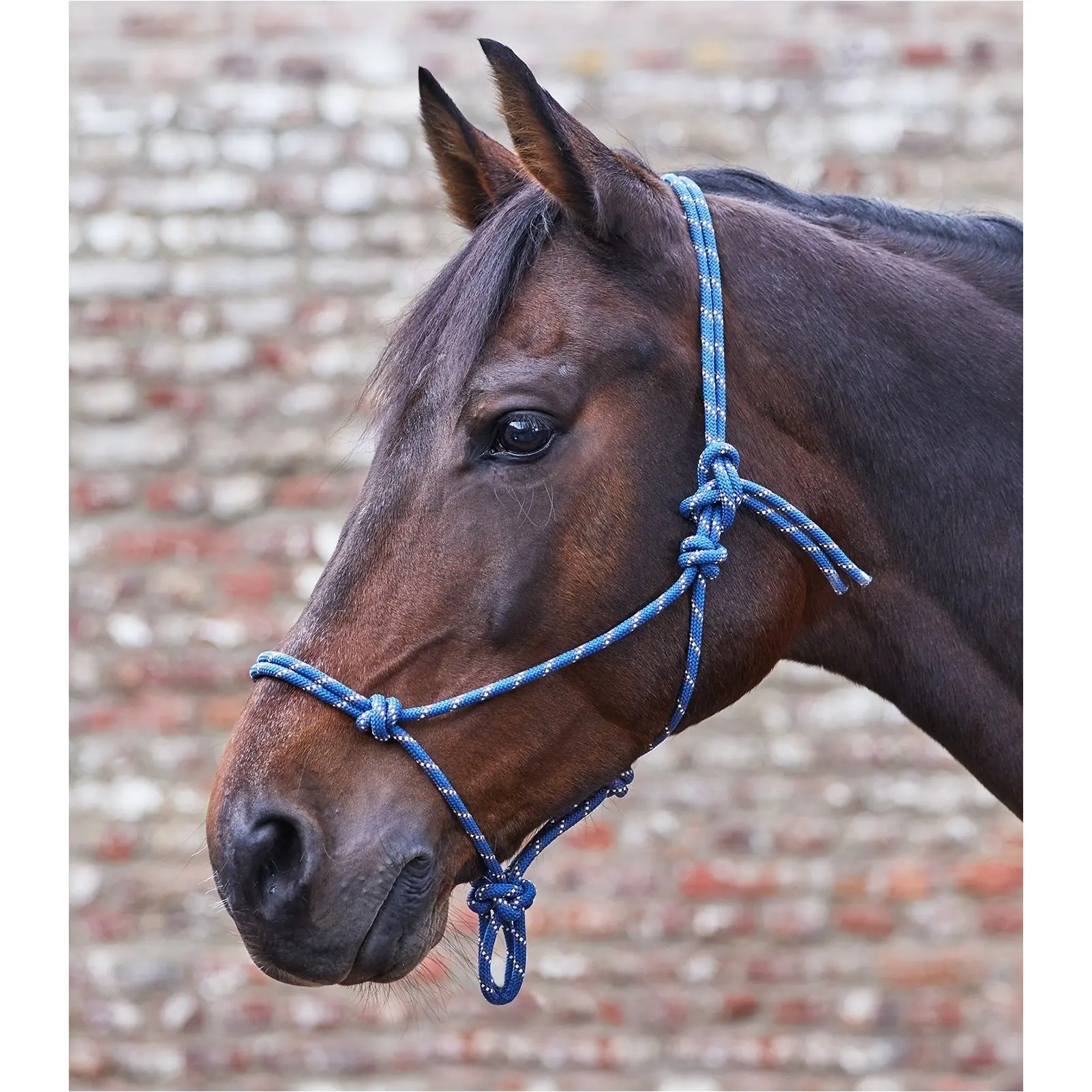 dunkelblau/taupe