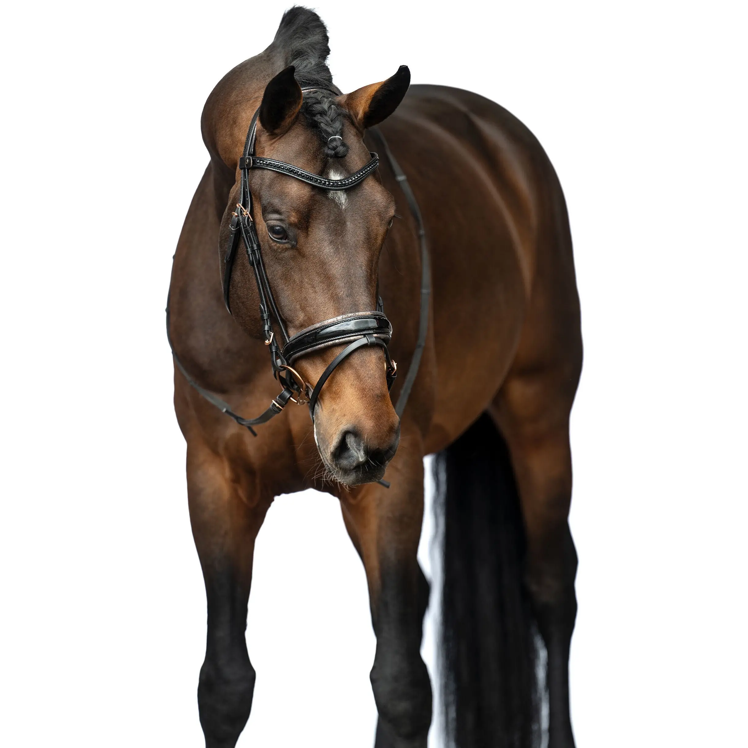 Trensenzaum SOFIA schwarz/rosegold Trensenzaum SOFIA schwarz/rosegold