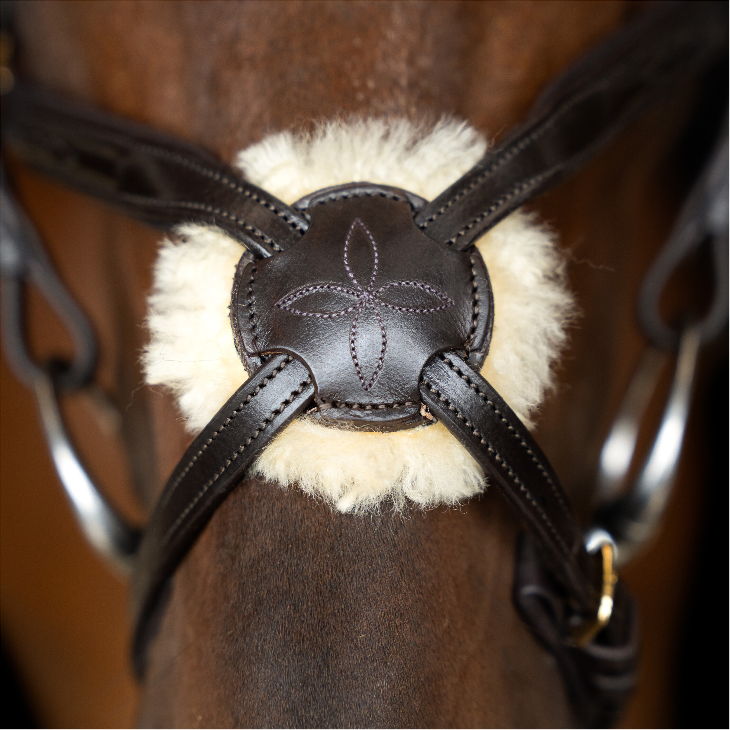Mexikanisches Zaumzeug IRH dunkelbraun