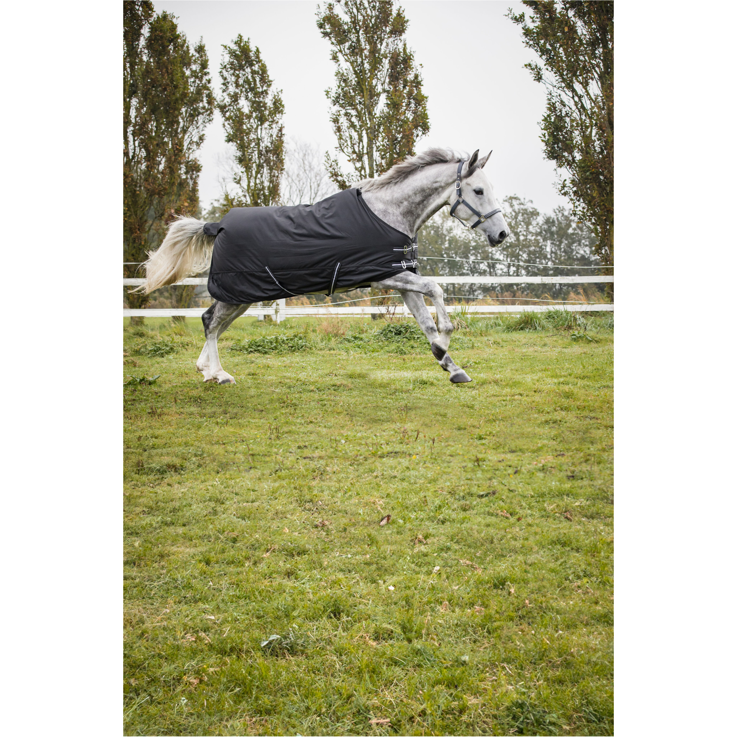 Winter Weidedecke 400g Füllung 600D schwarz