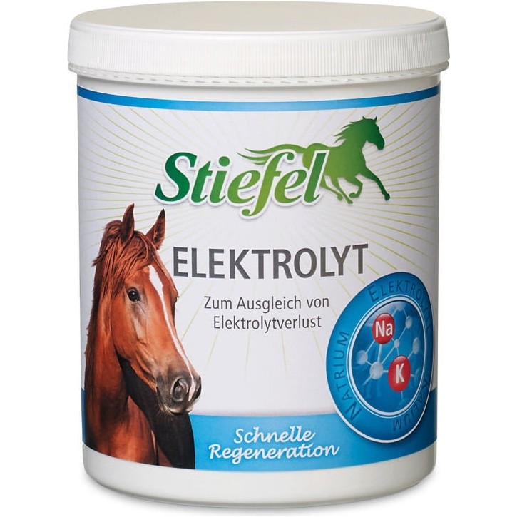 Elektrolyt Pulver zur schnellen Regeneration 1000g