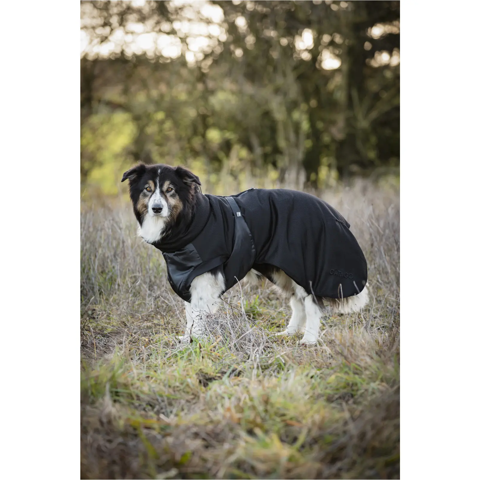 Hundedecke FIR-Tech schwarz Hundedecke FIR-Tech schwarz