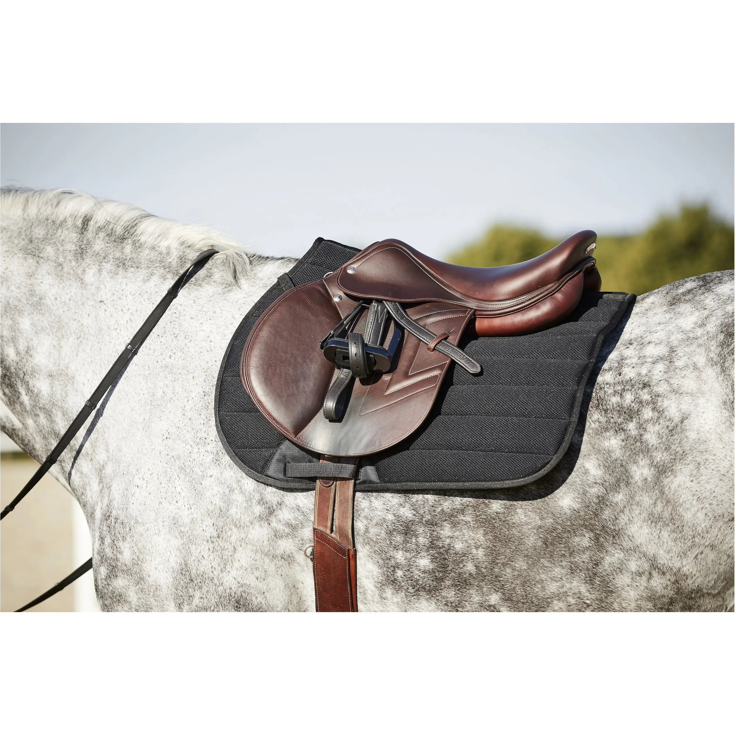 Schabracke KANDY Mesh schwarz Schabracke KANDY Mesh schwarz