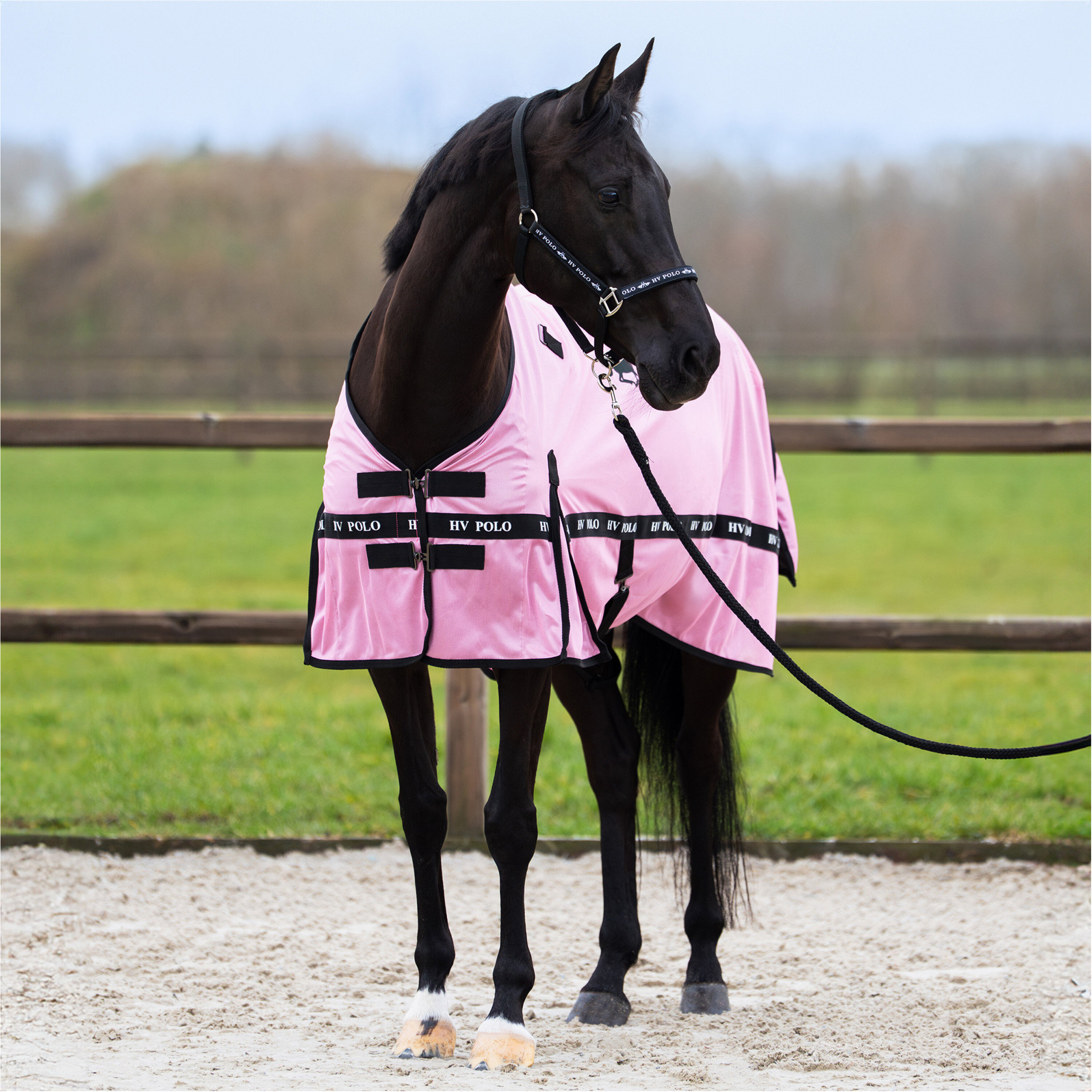 Fliegendecke mit Halsteil (abnehmbar) HVPNena pretty pink Fliegendecke mit Halsteil (abnehmbar) HVPNena pretty pink