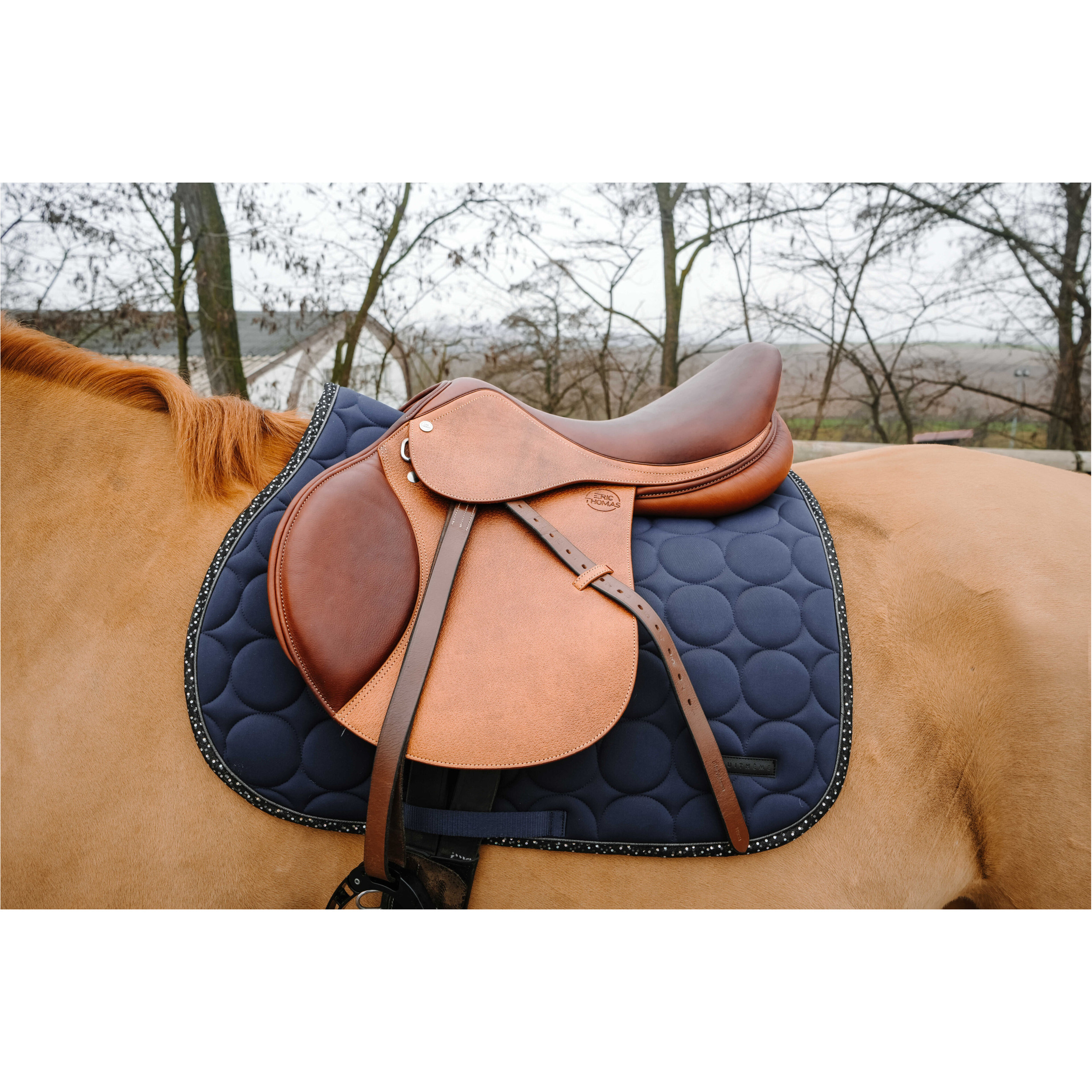 Schabracke DISCO navy Warmblut Vielseitigkeit