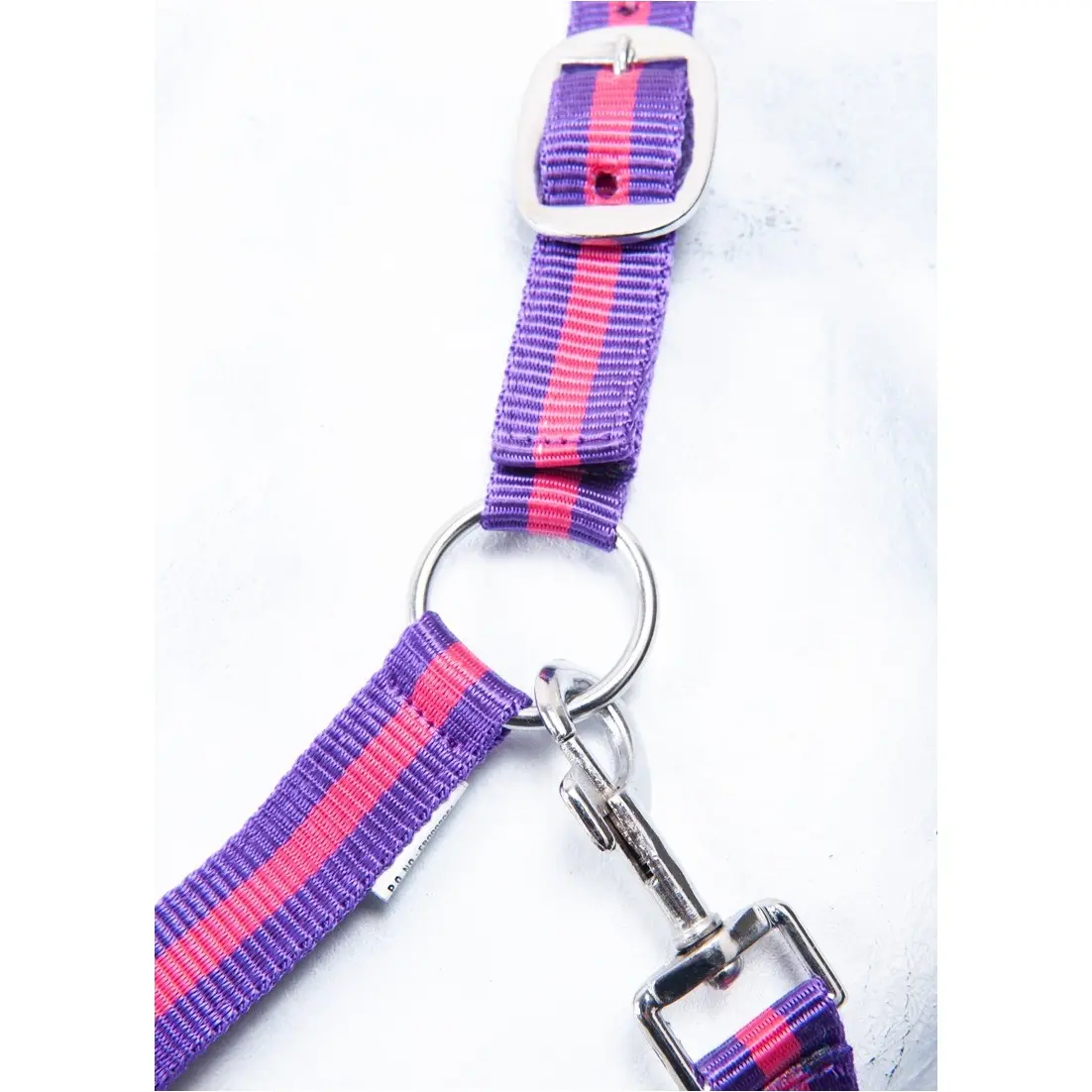 Halfter BUDAPEST lila/lavendel Halfter BUDAPEST lila/lavendel