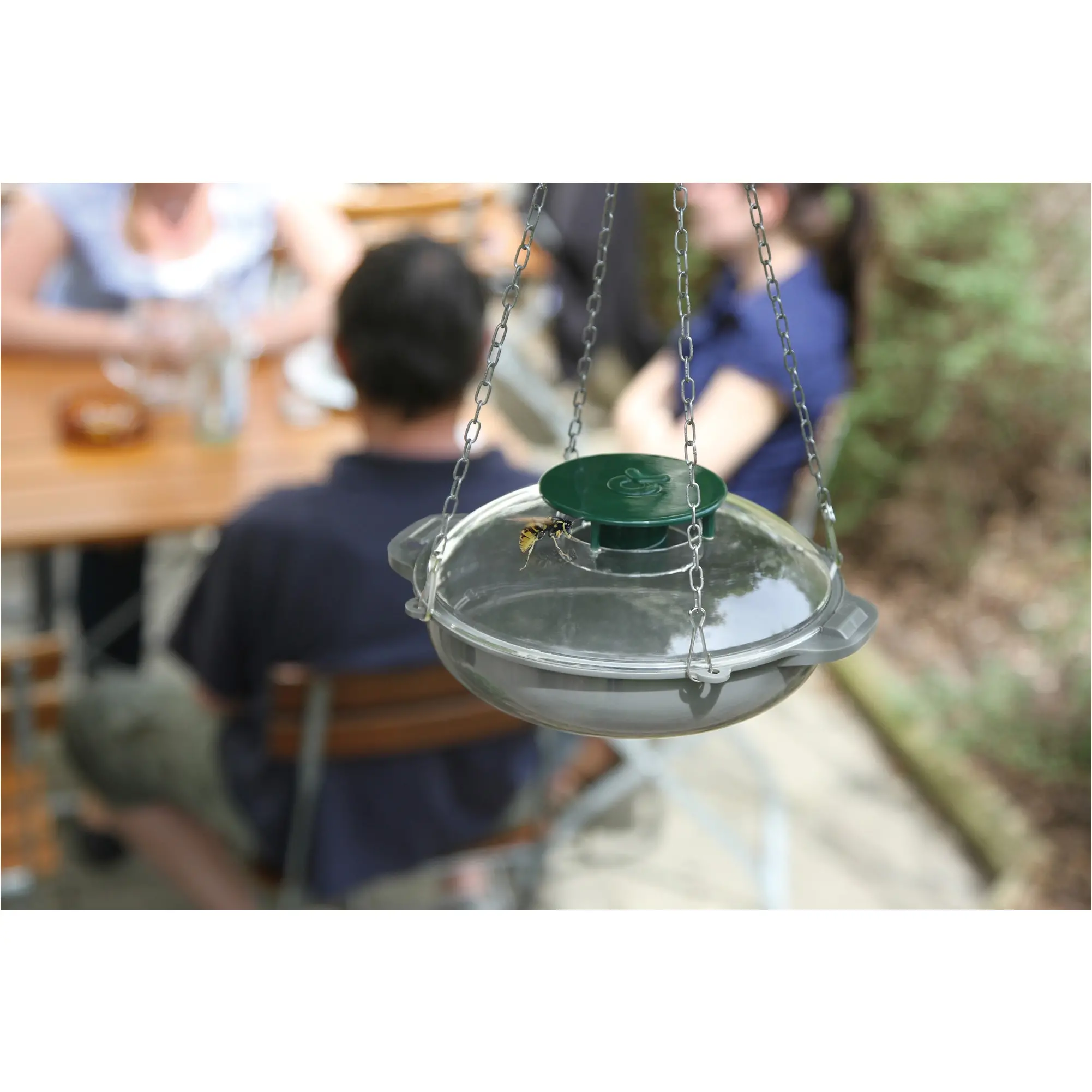 Wespenfänger VespaNo