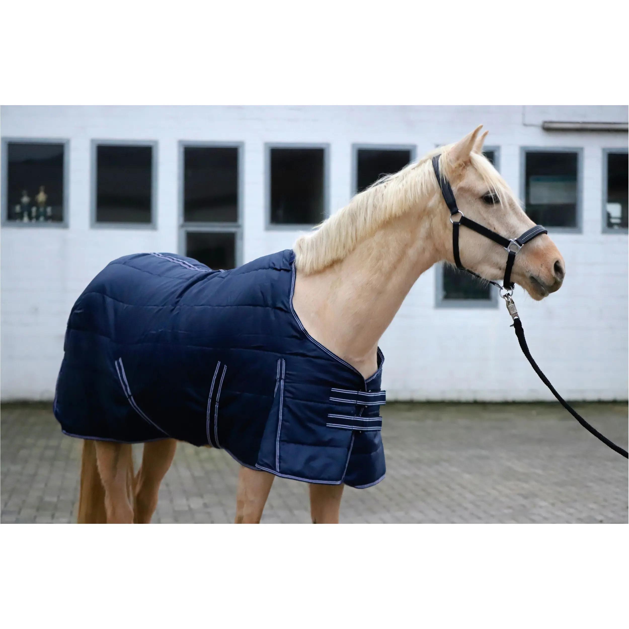 Stalldecke 200g Füllung 420D COMFORT marine Stalldecke 200g Füllung 420D COMFORT marine