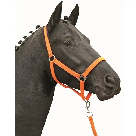 Halfter STARS ECONOMY SOFTICE neon orange Halfter STARS ECONOMY SOFTICE neon orange