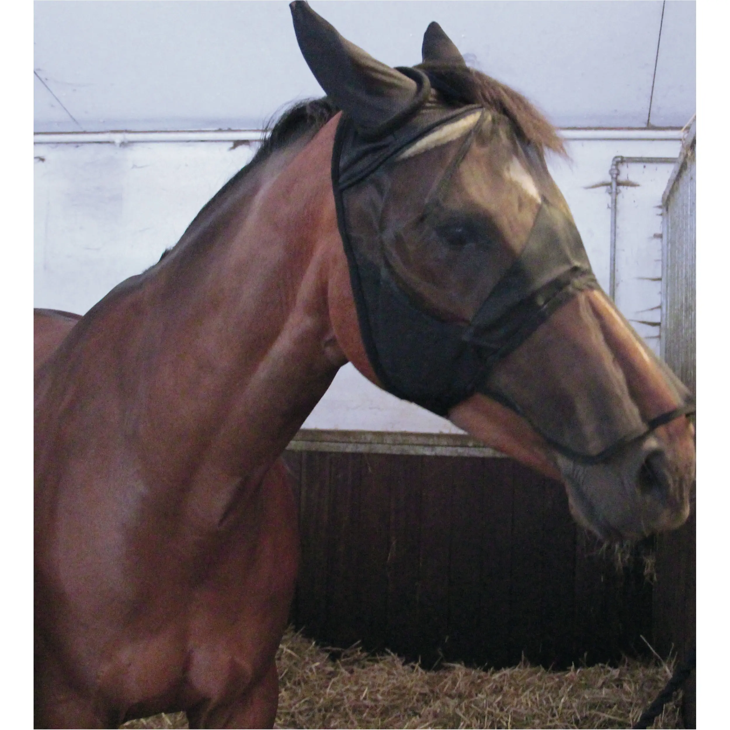 Fliegenmaske mit Nüsternschutz schwarz