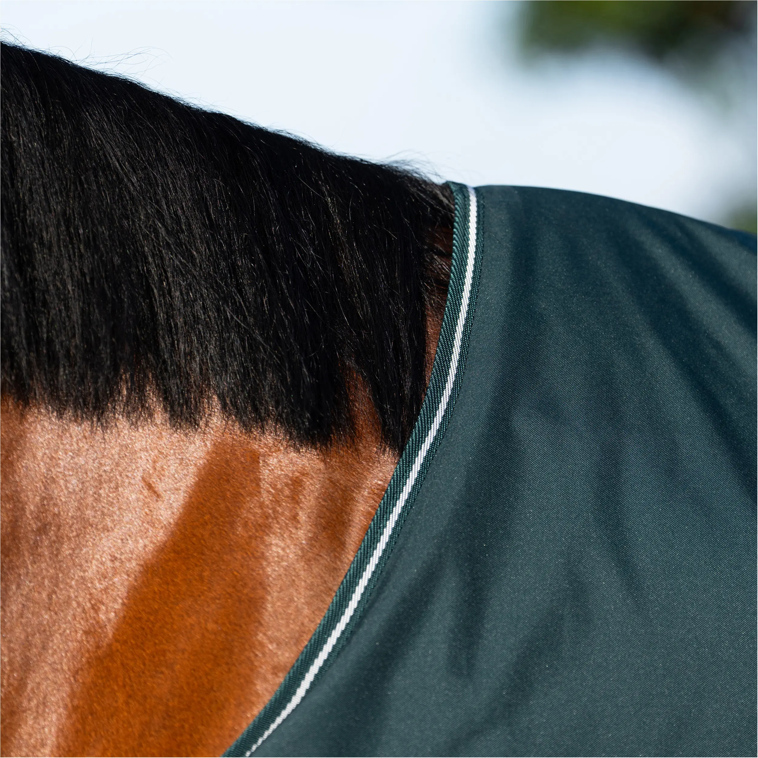 Outdoordecke 600D mit Polarfleecefutter IRHBasic green