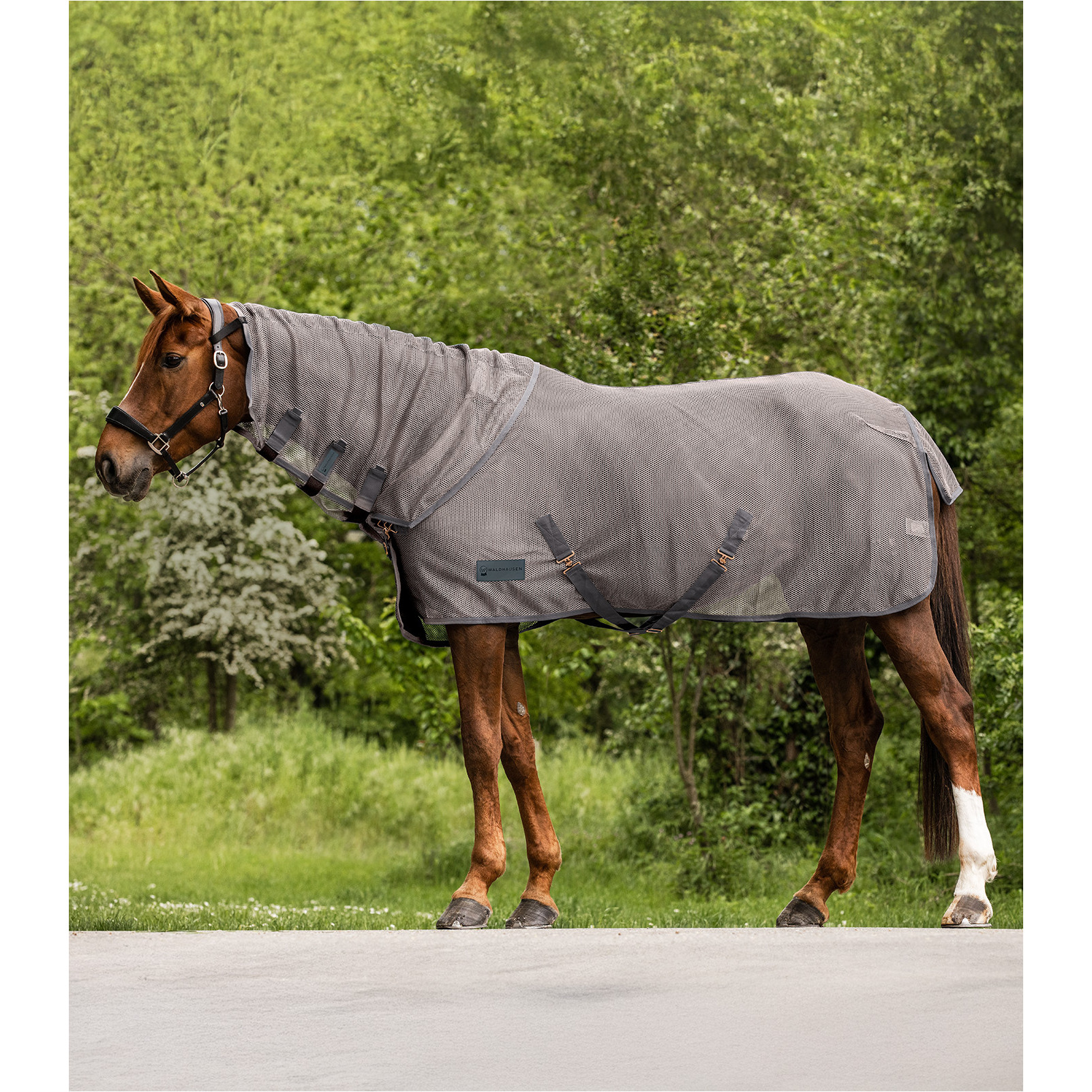 Fliegen-Halsteil COMFORT grau