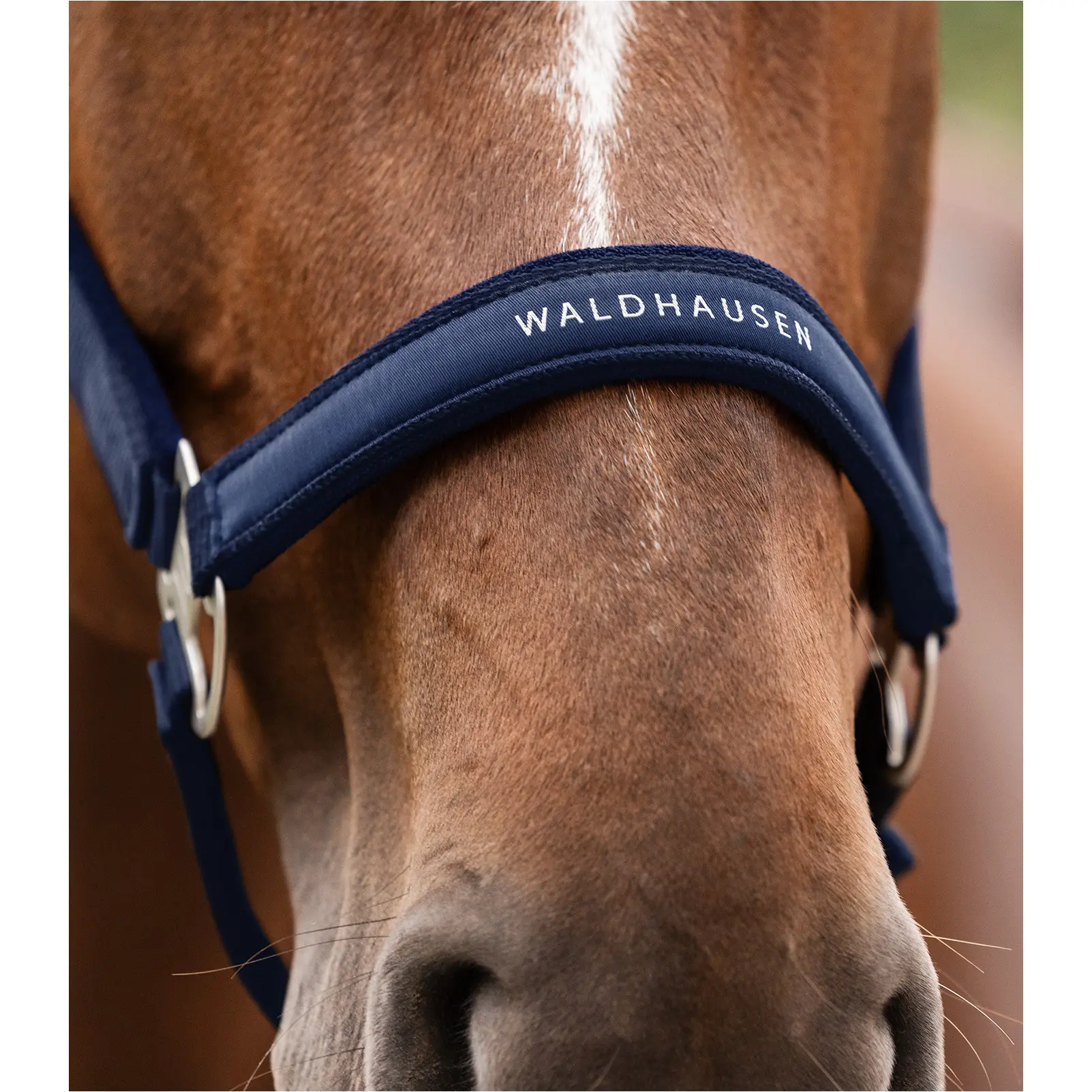 Halfter ATHLETIC nachtblau