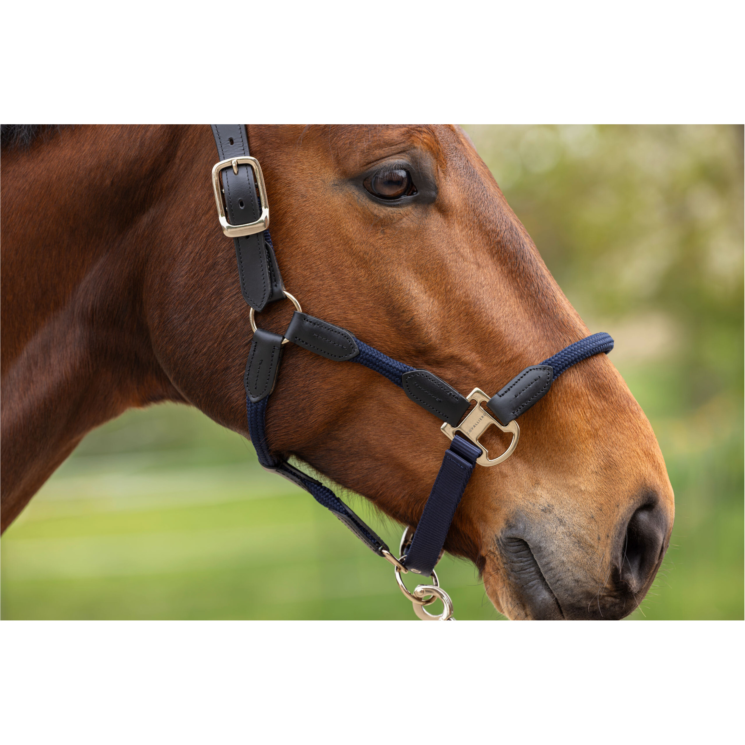 Halfter CORDANO Deluxe F/S 2026 dark navy Halfter CORDANO Deluxe F/S 2026 dark navy