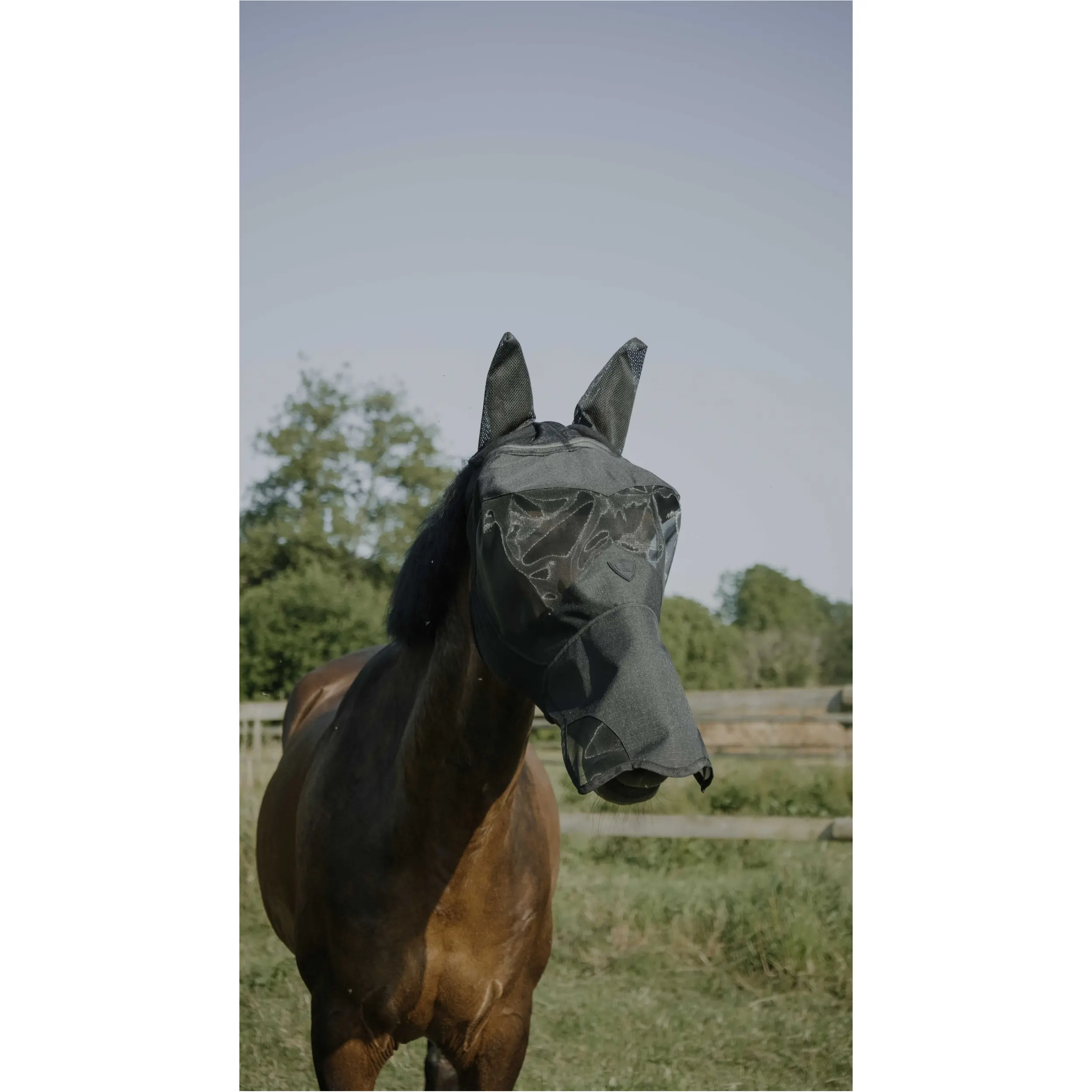 Fliegenmaske mit UV-Schutz VISOR schwarz Fliegenmaske mit UV-Schutz VISOR schwarz