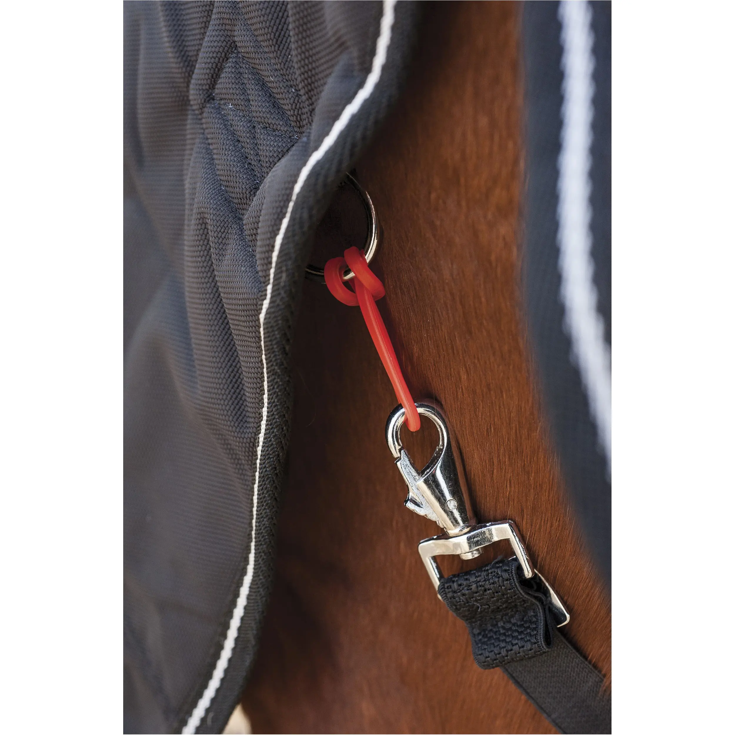 SafeGum für Karabinerhaken (4 Stk.) orange