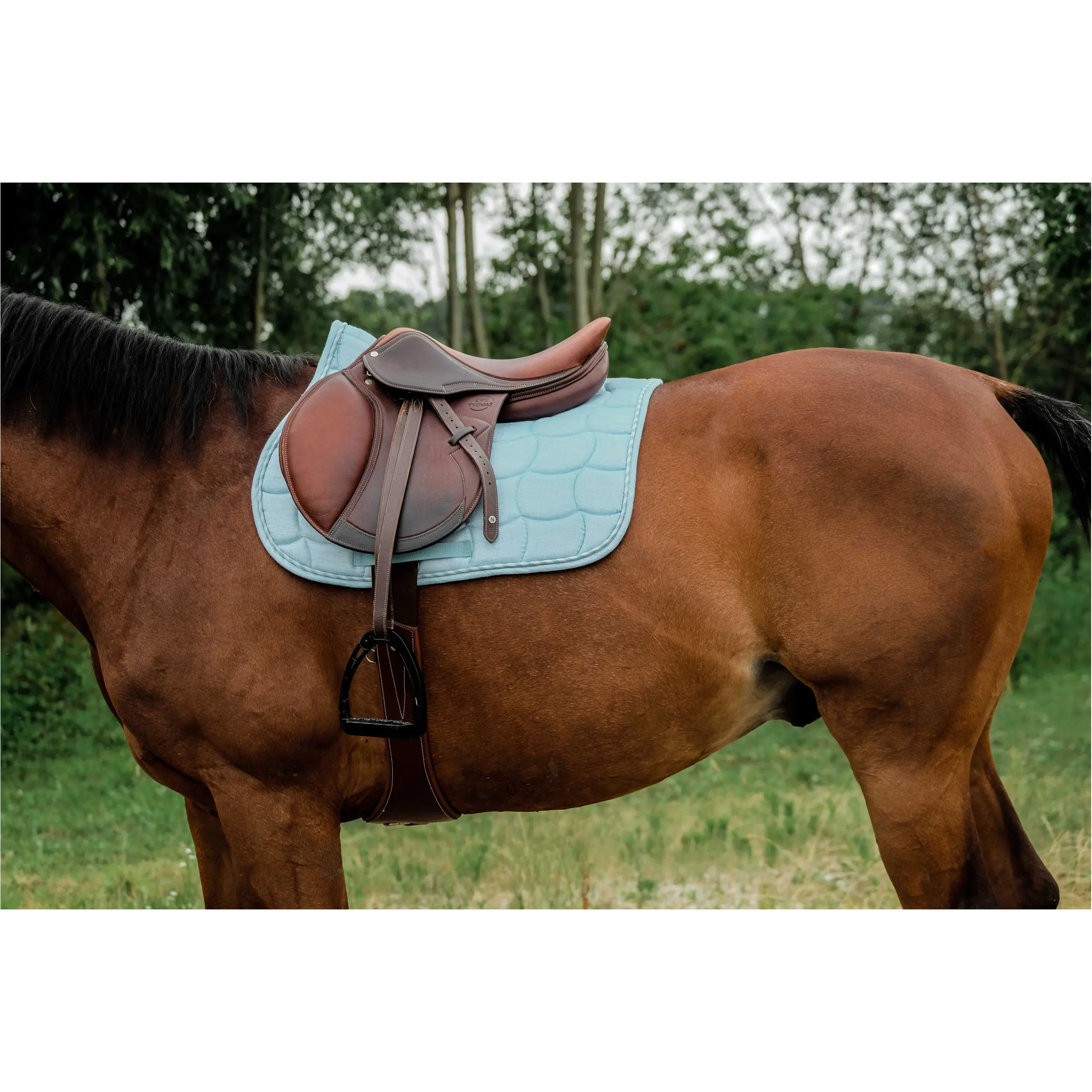 Schabracke SUNSHINE himmelblau Warmblut Vielseitigkeit Schabracke SUNSHINE himmelblau Warmblut Vielseitigkeit