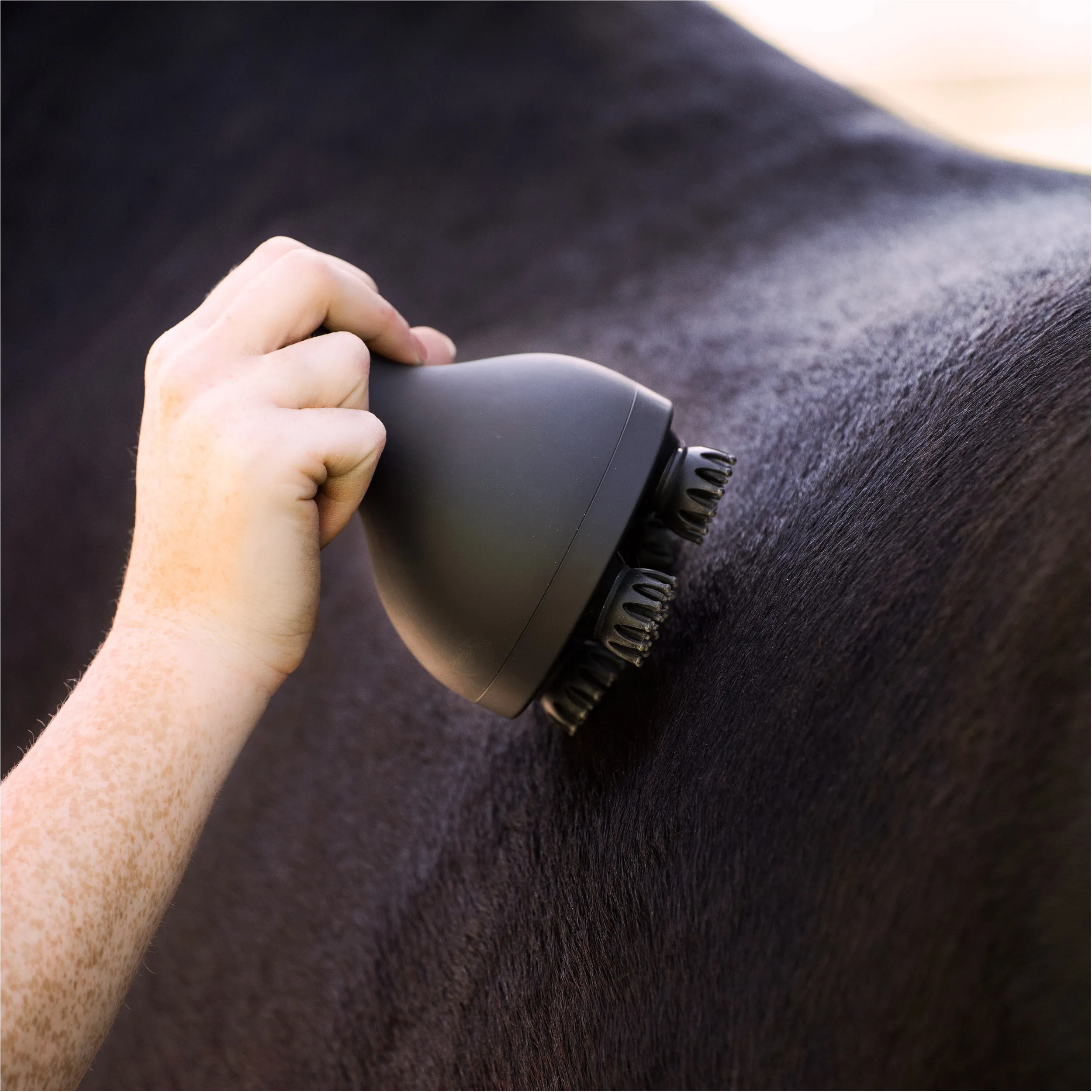 Entspannungsbürste Grooming & Relaxation IRHVolta schwarz