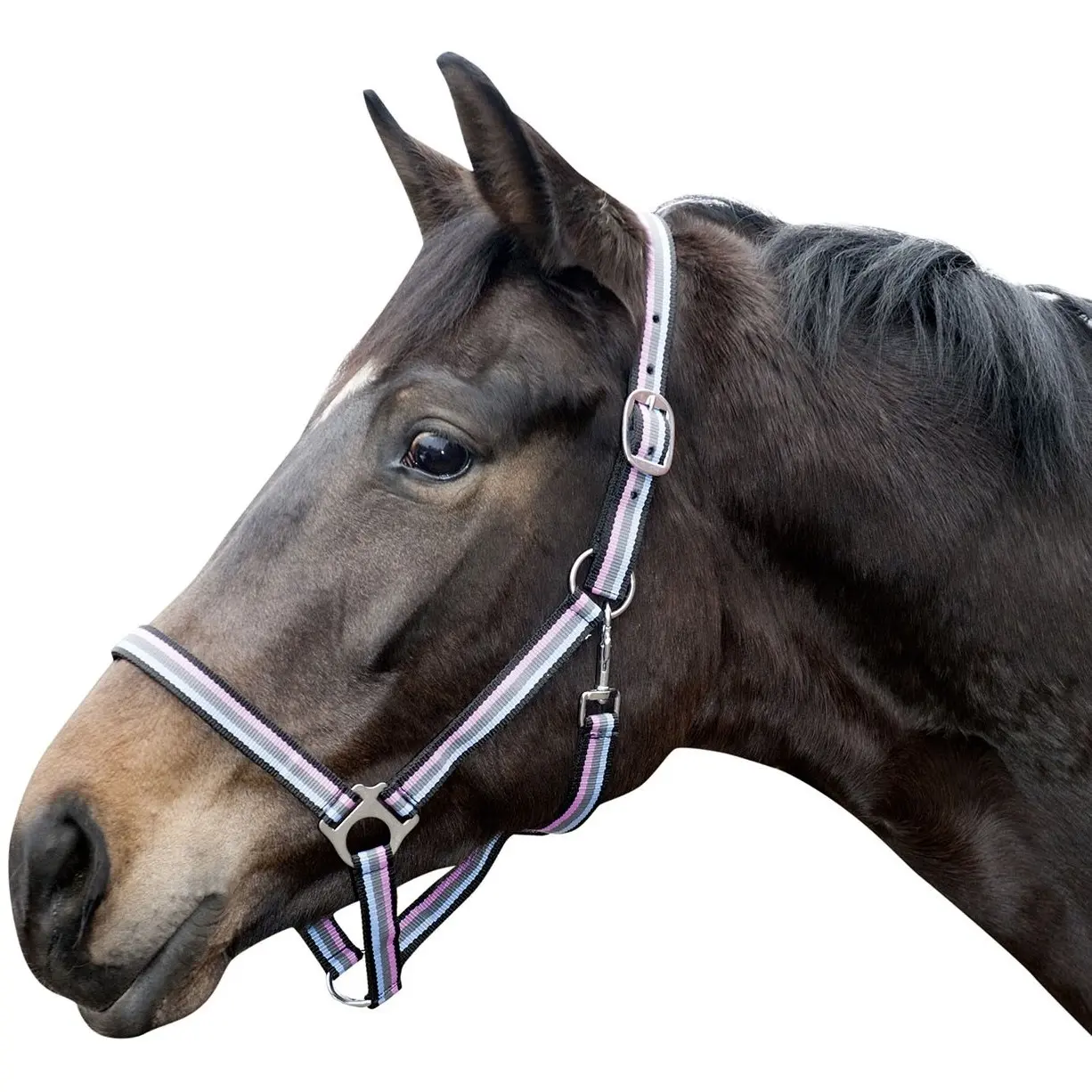 Halfter LINZ schwarz/grau/pink/blau Halfter LINZ schwarz/grau/pink/blau