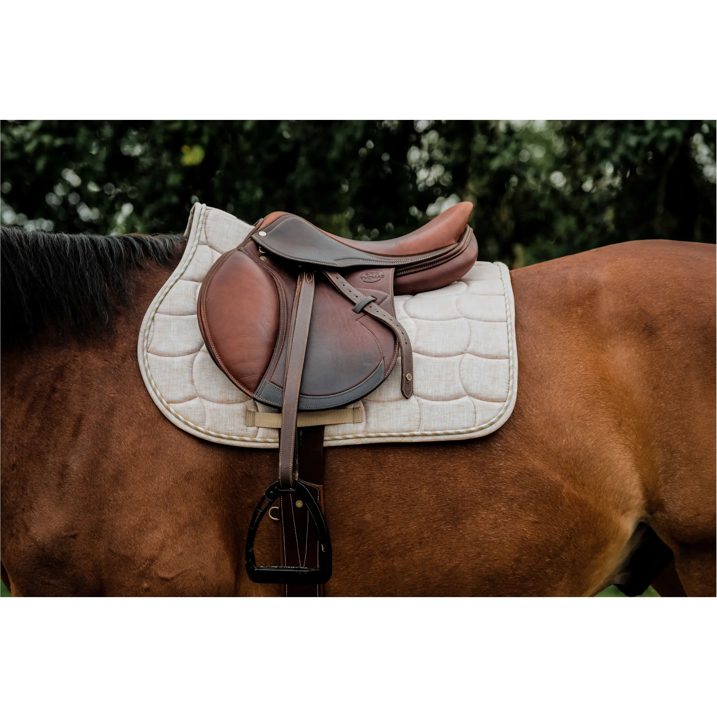 Schabracke SUNSHINE beige Warmblut Vielseitigkeit Schabracke SUNSHINE beige Warmblut Vielseitigkeit