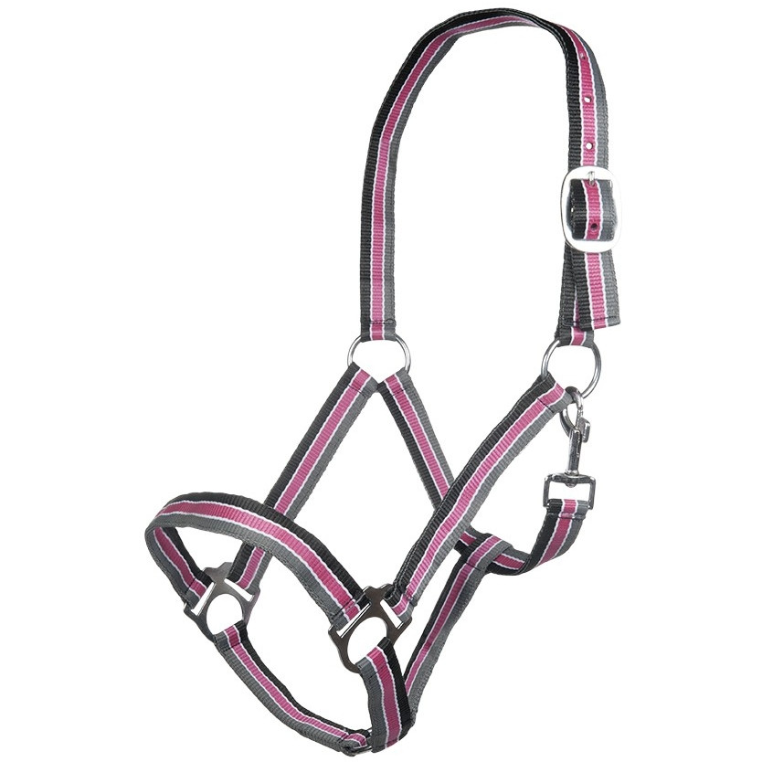 Halfter GENF schwarz/pink/grau