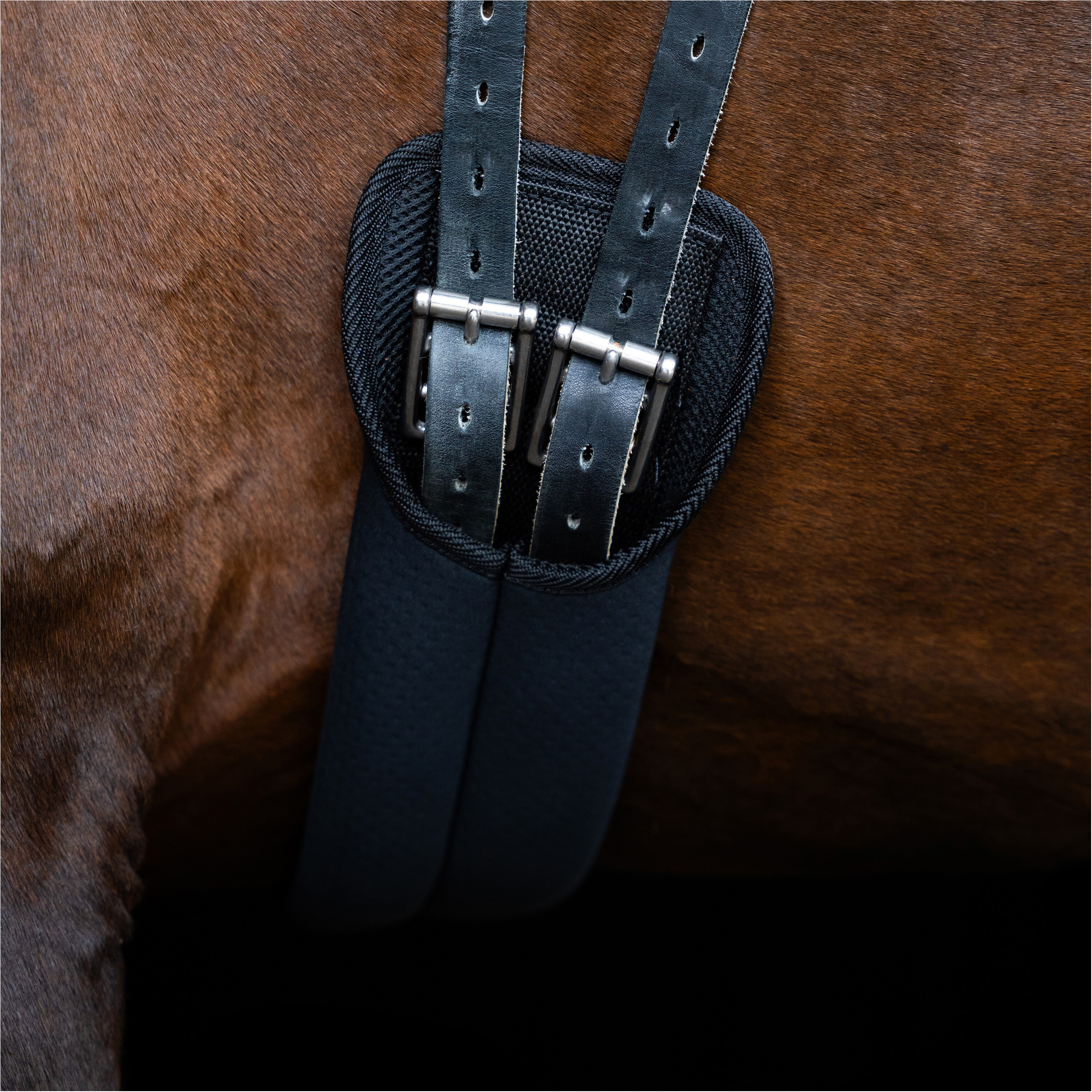 Dressurgurt IRH Softopren schwarz