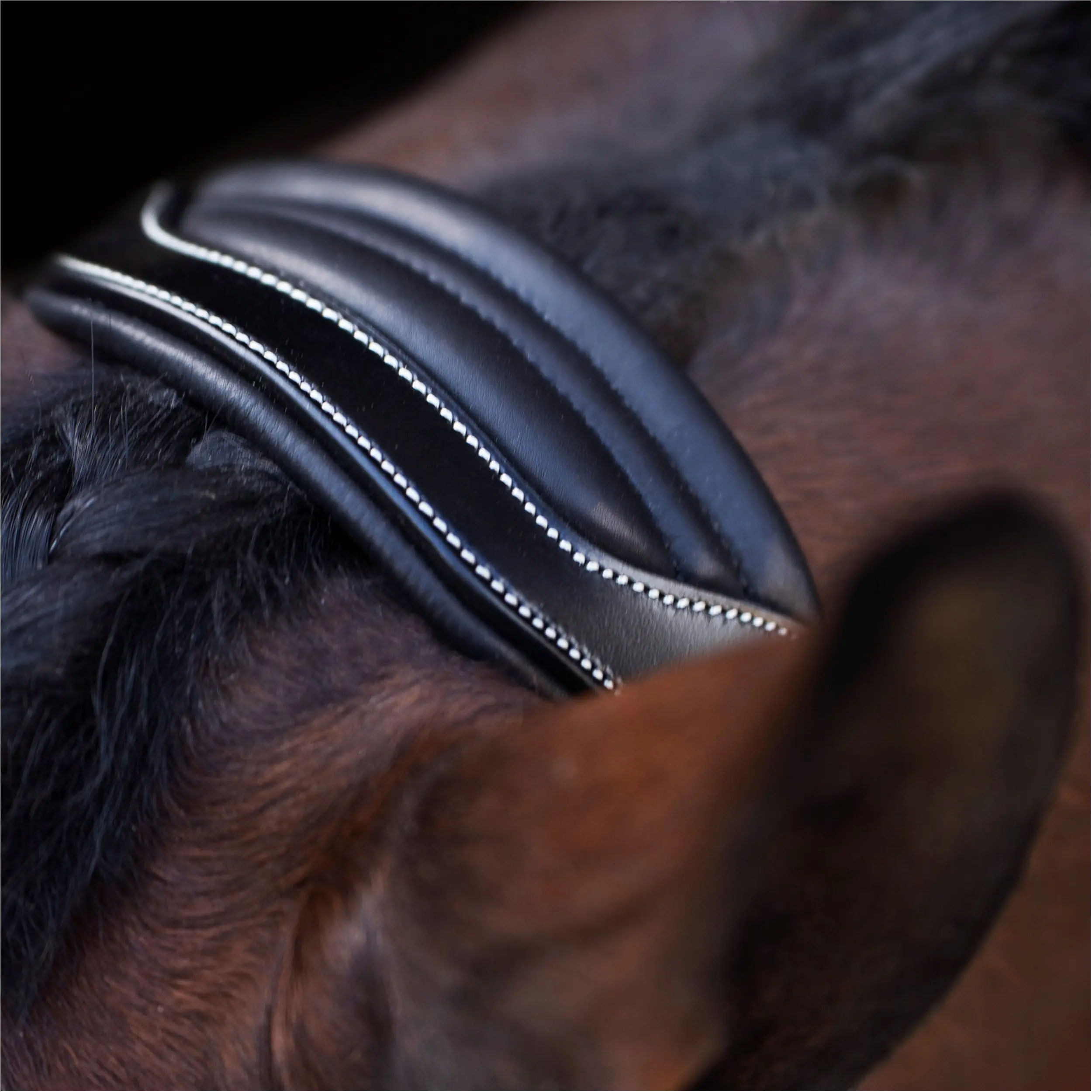 Lederhalfter HVPLegacy schwarz Lederhalfter HVPLegacy schwarz